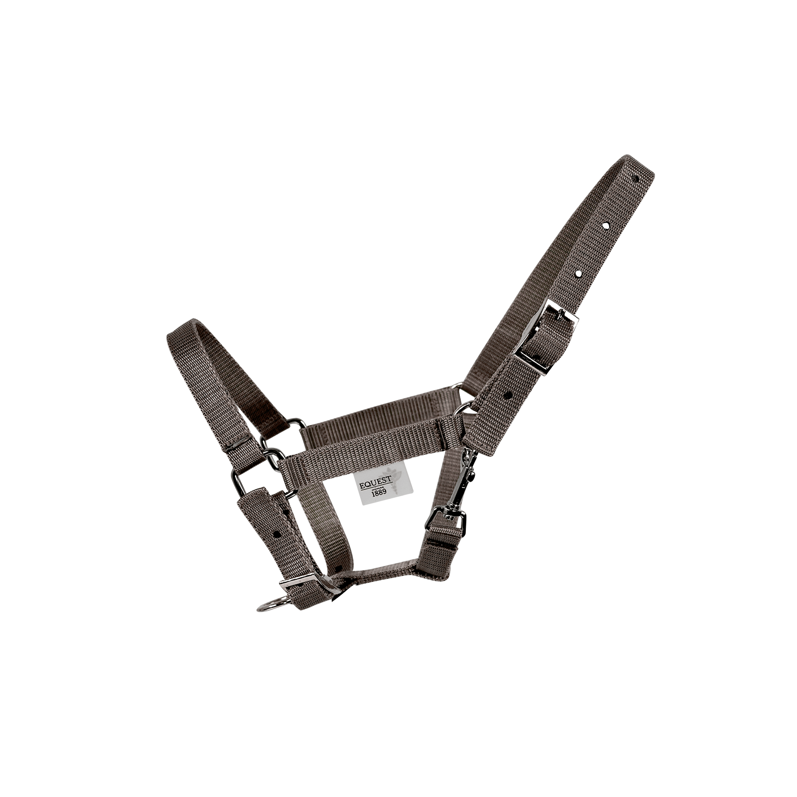 EQUEST Halfter Dual SHETTY - EQUEST by Hoelscher