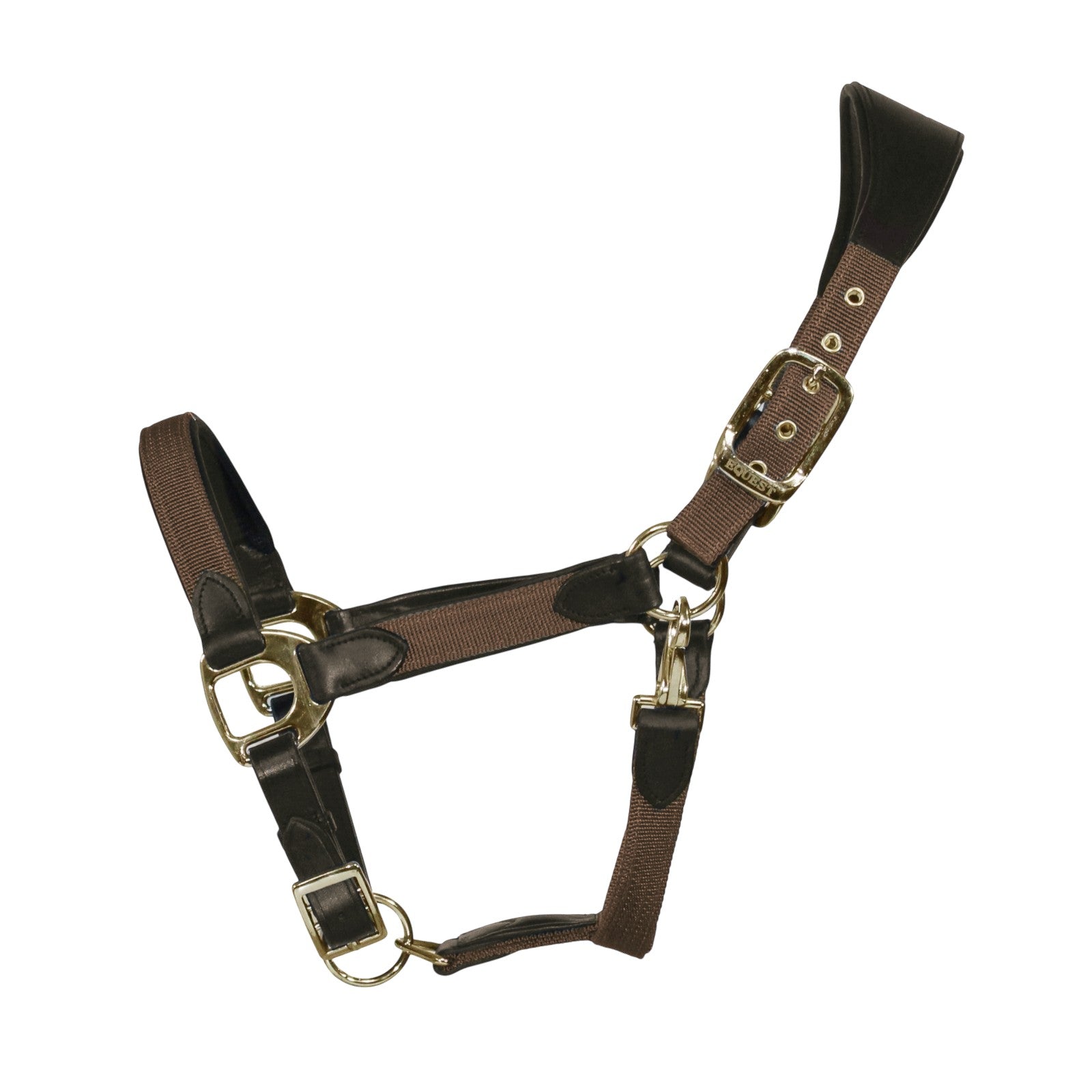 EQUEST Halfter Unique