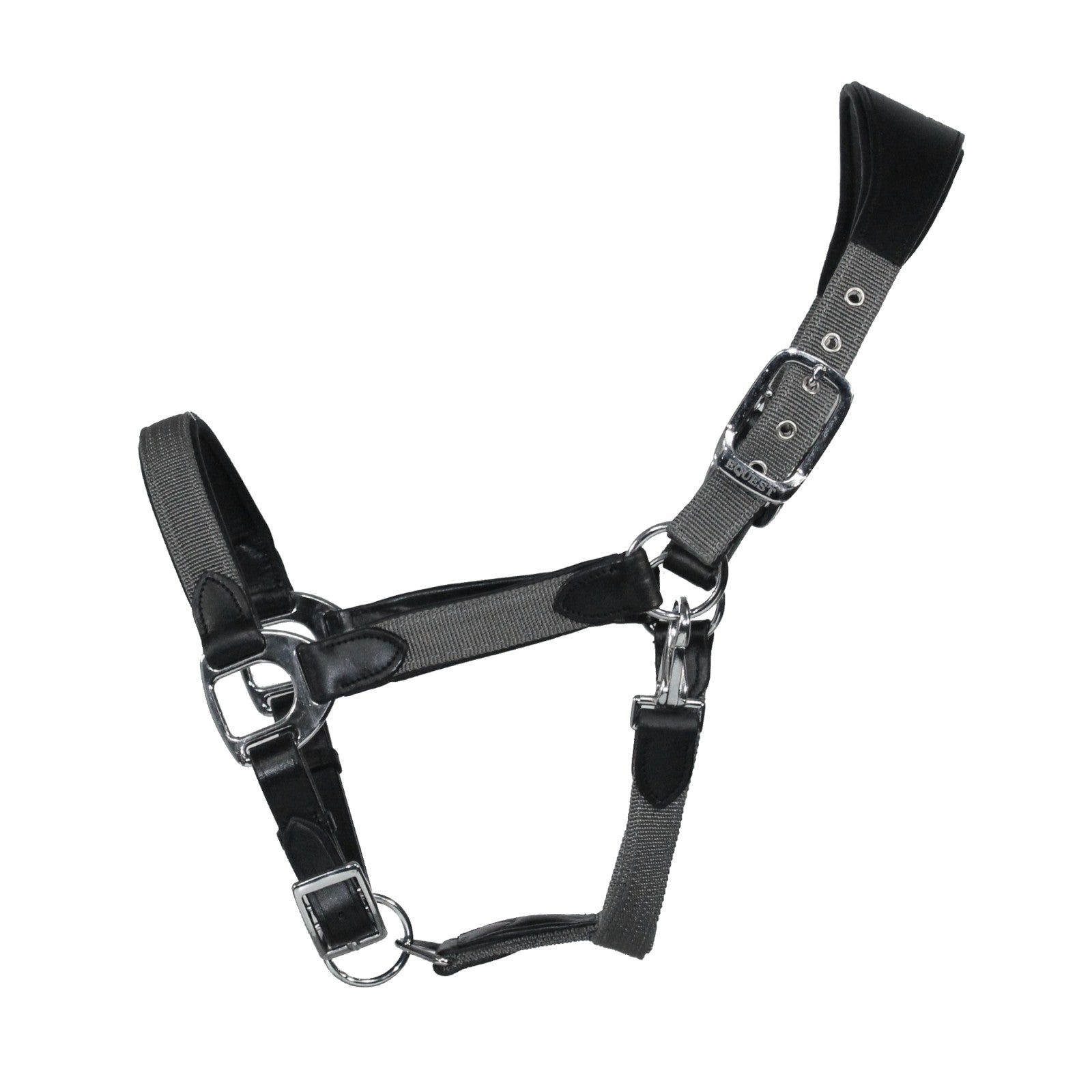 EQUEST Halfter Unique