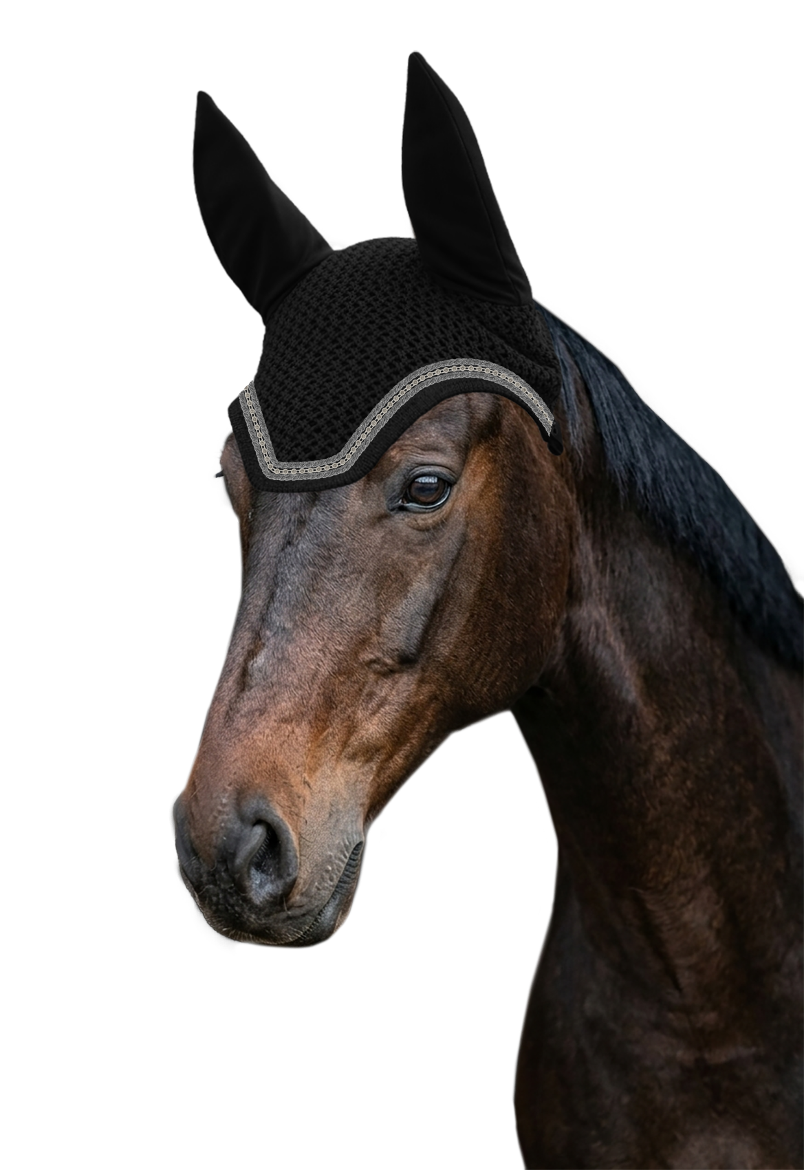 Fliegenohr