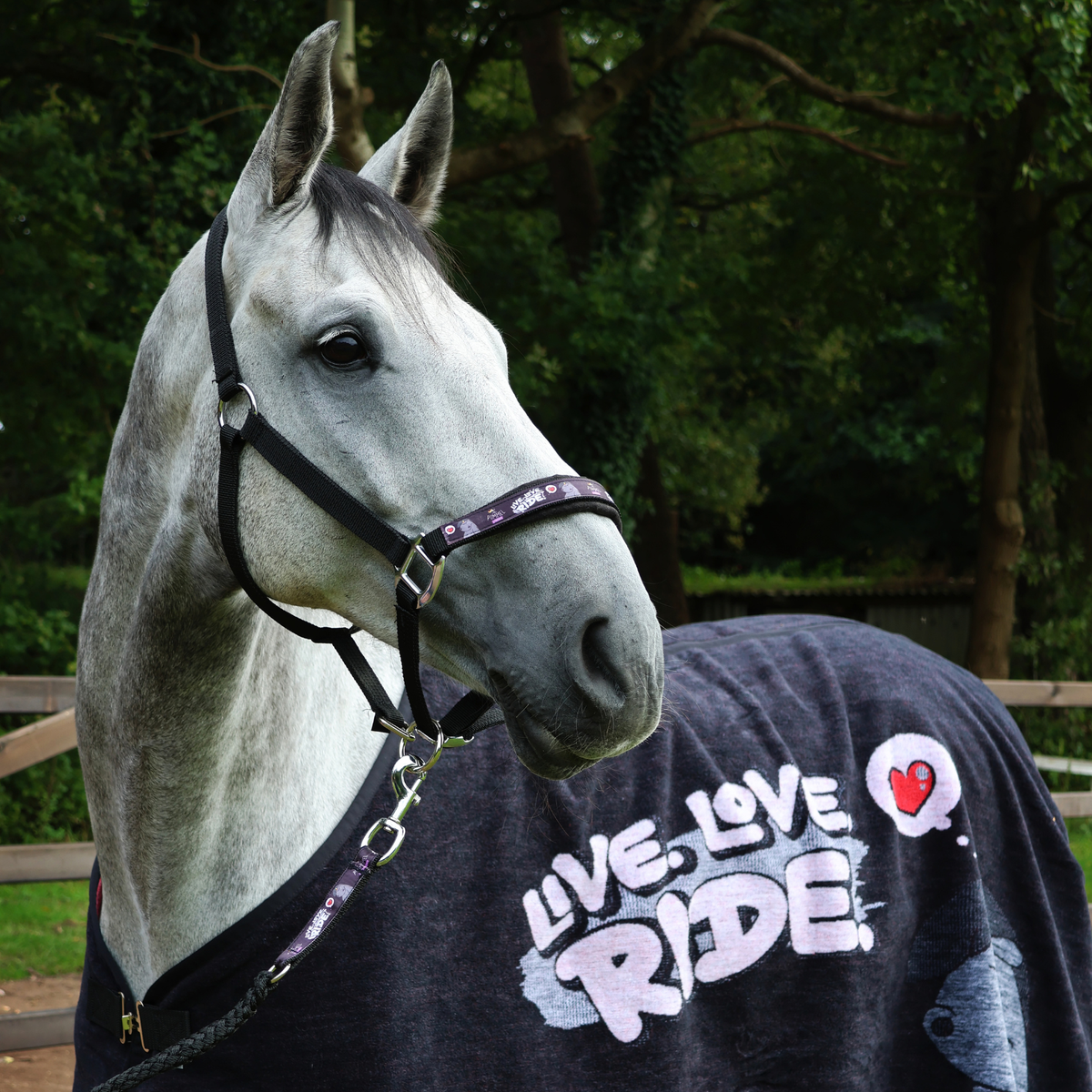 EQUEST Dralon Decke Pummel | Live Love Ride