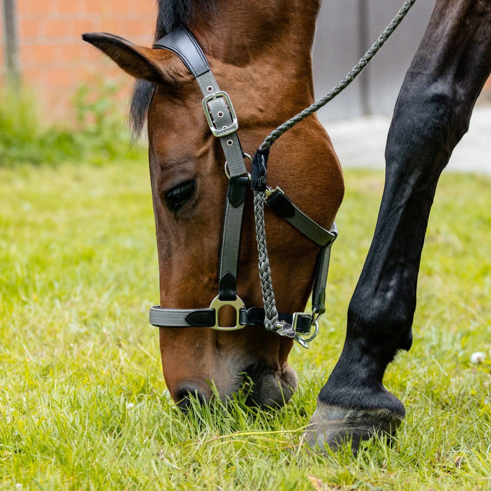 EQUEST Strick Ultimo NoStepper | Chrom Finish - EQUEST by Hoelscher