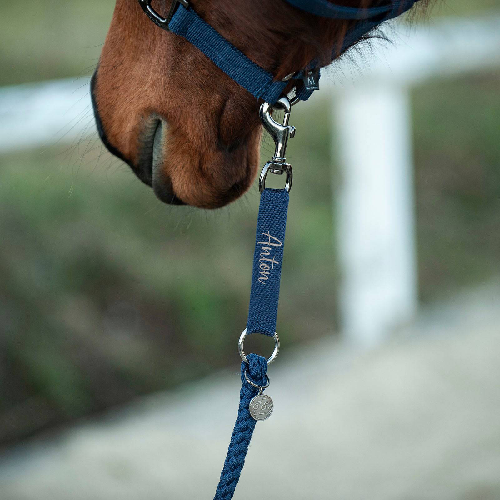 EQUEST Führstrick Ultimo Performance Basic - EQUEST by Hoelscher