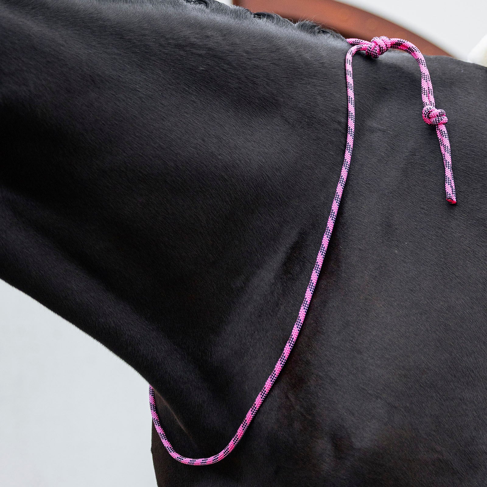 EQUEST Balance Zügel Pro