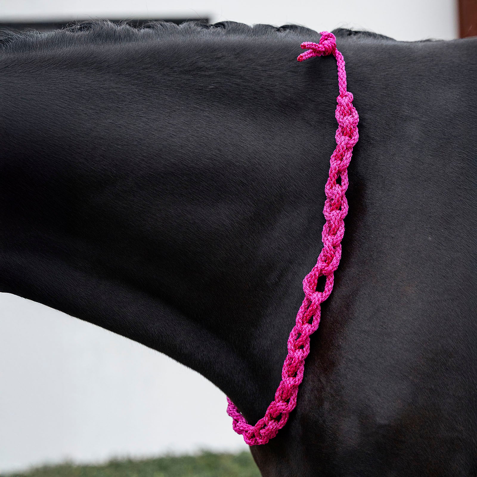 EQUEST Balance Zügel