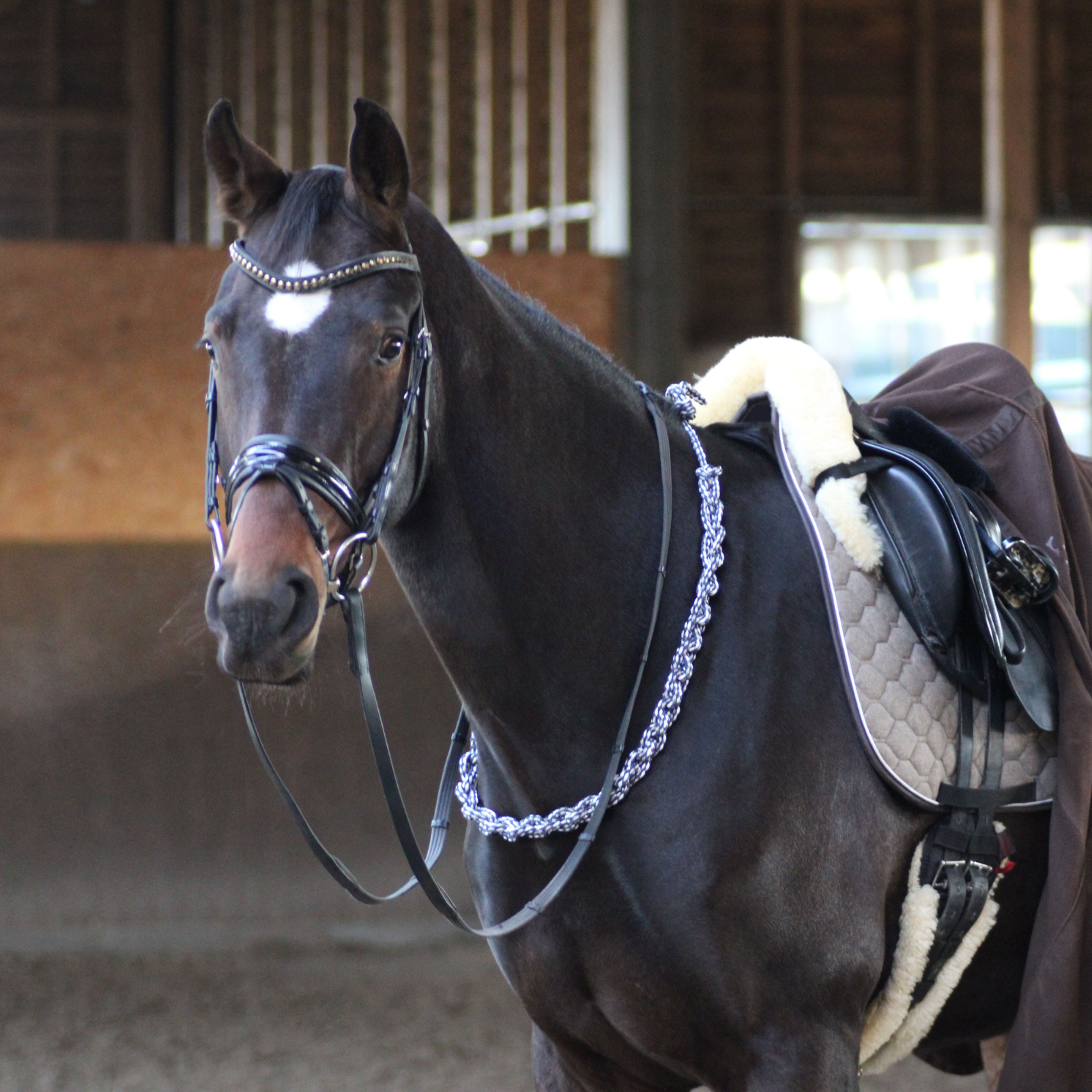 EQUEST Balance Zügel