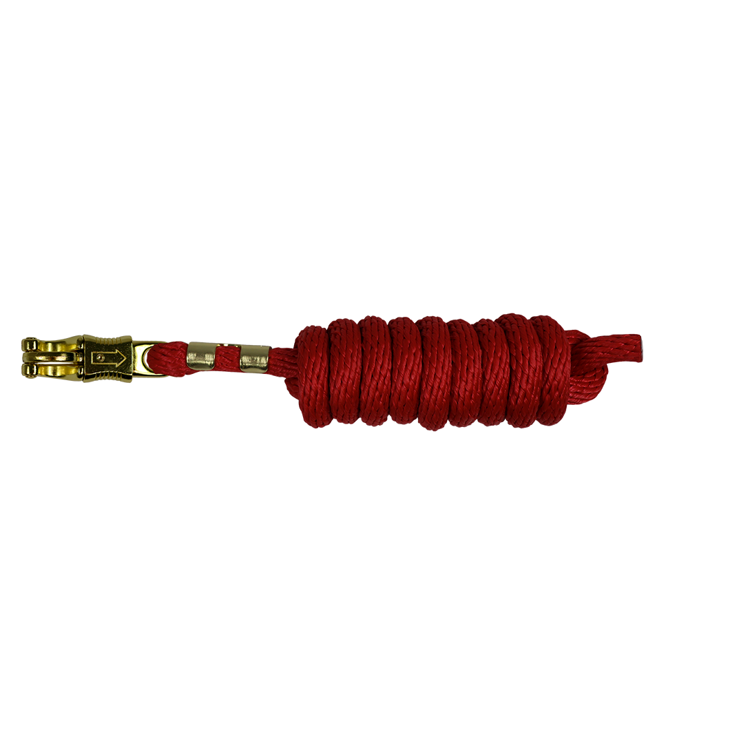 EQUEST Führstrick Spirit Panikhaken | Messing Finish - EQUEST by Hoelscher