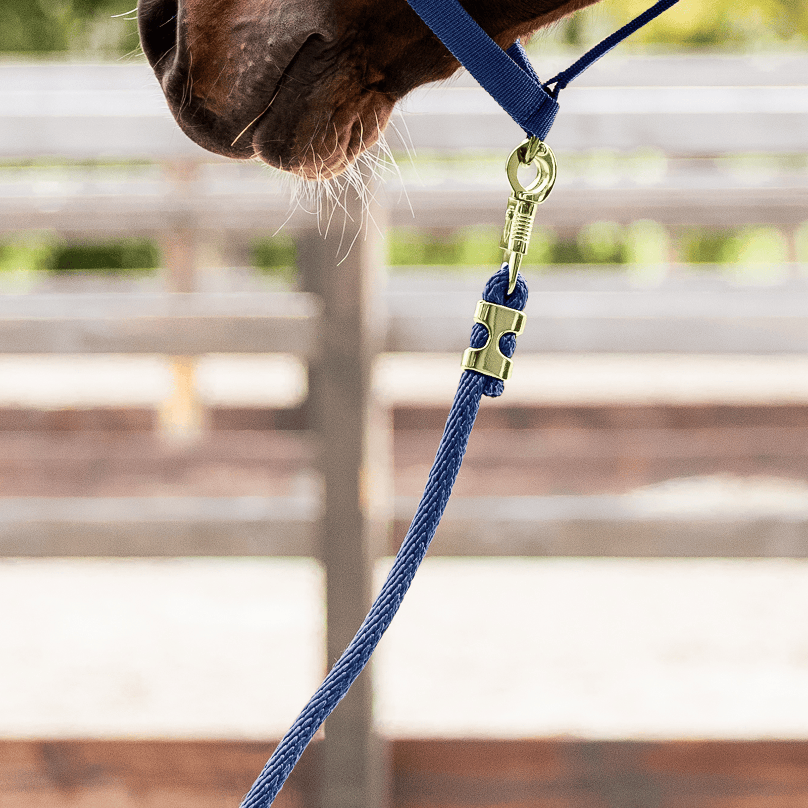 EQUEST Führstrick Spirit Panikhaken | Messing Finish - EQUEST by Hoelscher