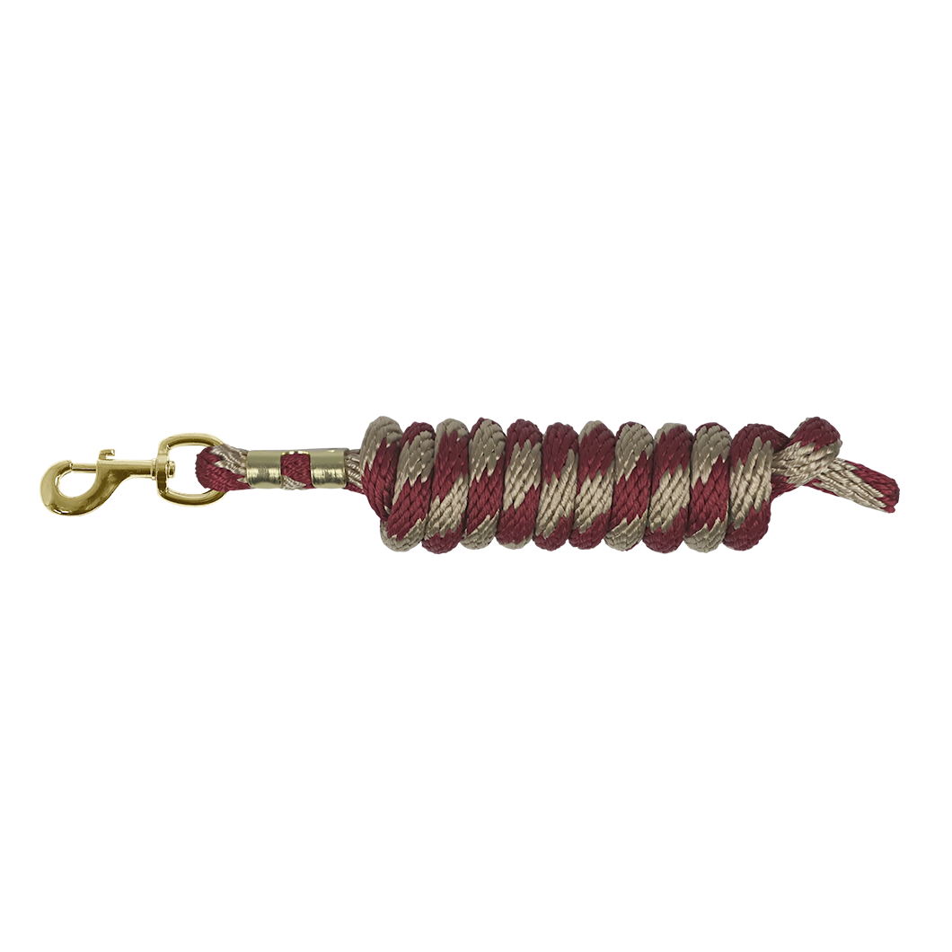 EQUEST Lead Rope Spirit Carabiner Hook | Brass Finish