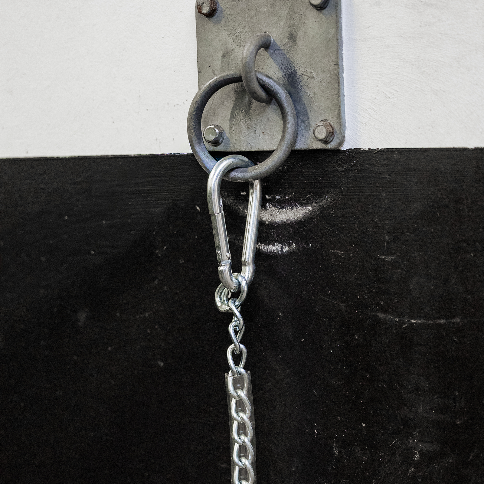 EQUEST Trailer Kette | Anbindekette