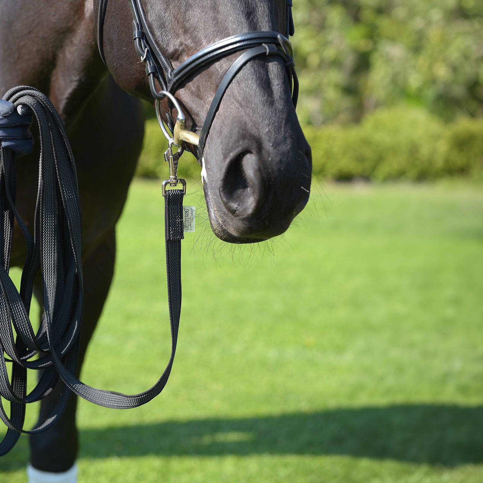 EQUEST Longe Fix Grip - EQUEST by Hoelscher