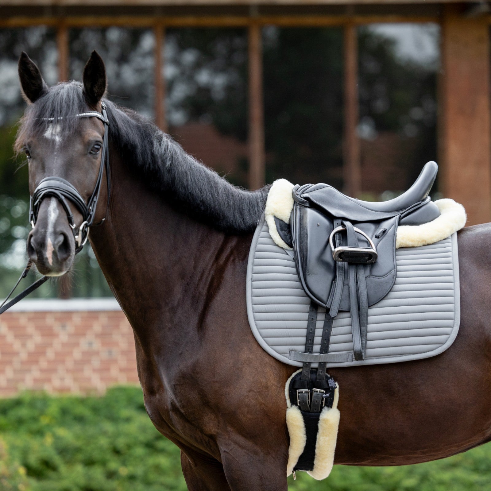 EQUEST Schabracke Syntec Fine Line