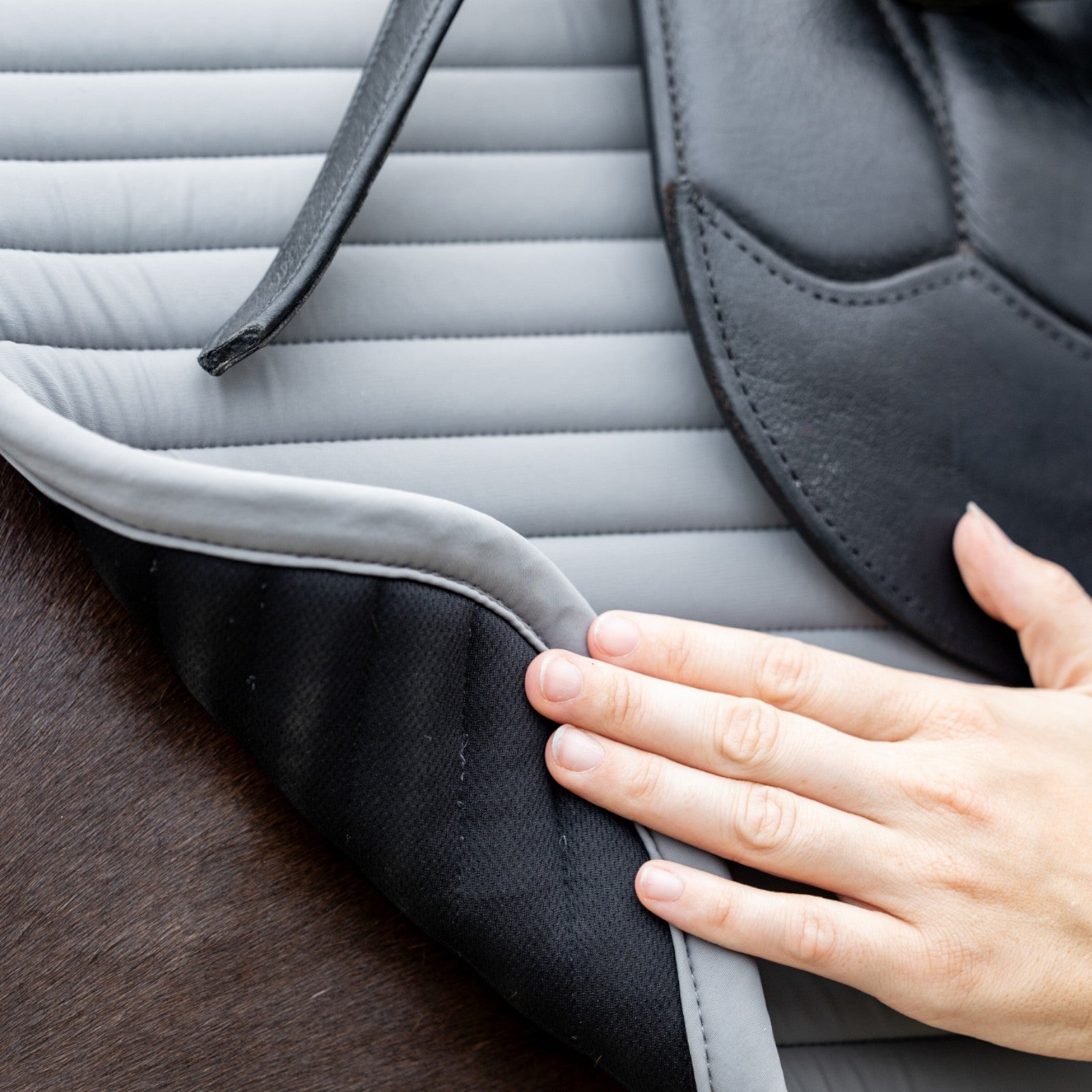 EQUEST Schabracke Syntec Fine Line