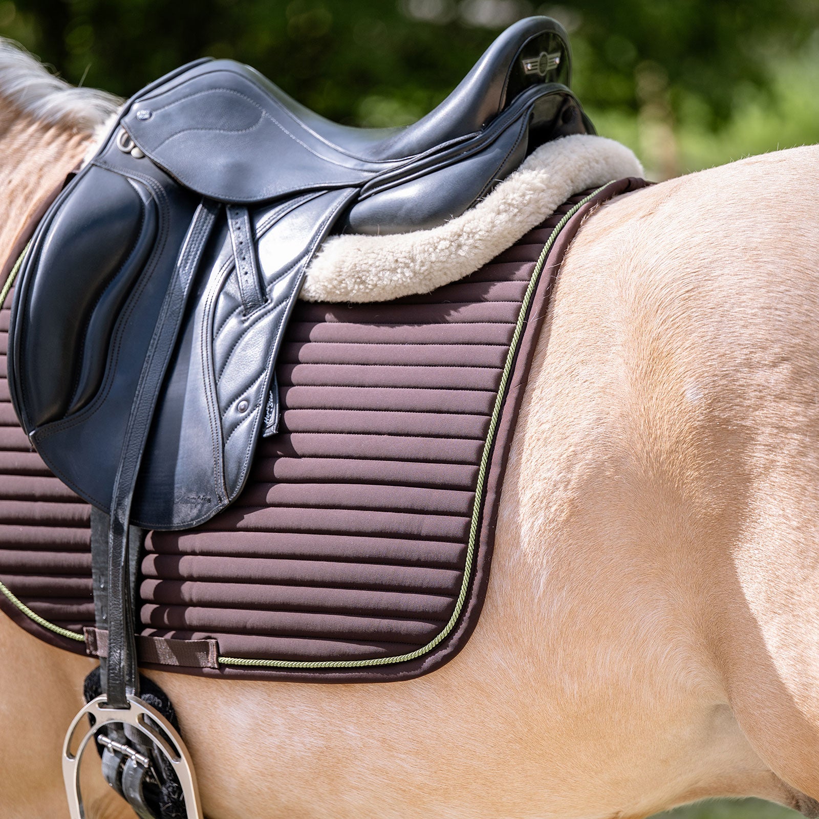 EQUEST Schabracke Syntec Fine Line + Cord