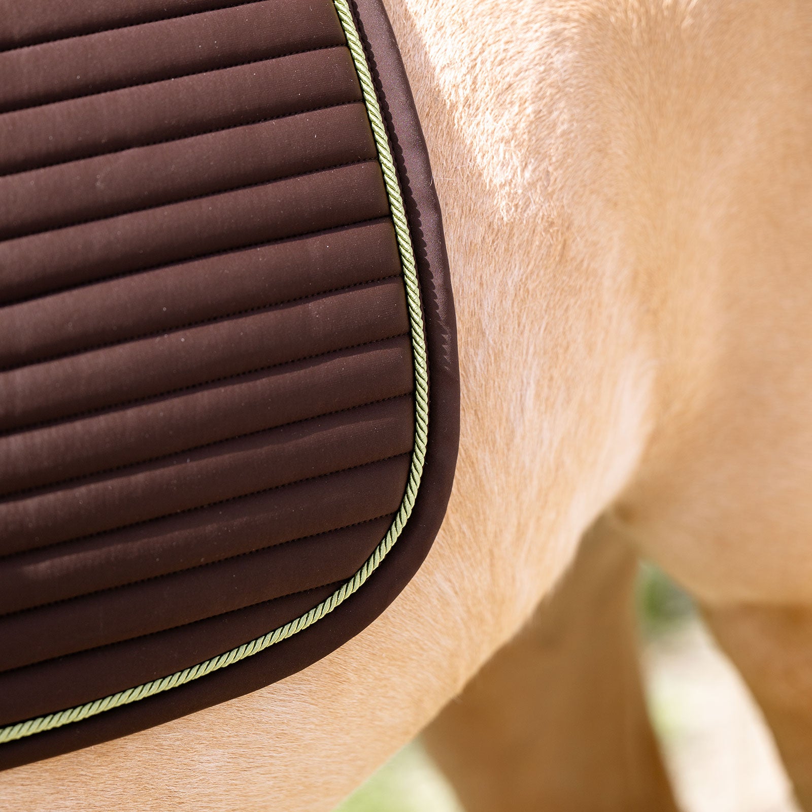 EQUEST Schabracke Syntec Fine Line + Cord