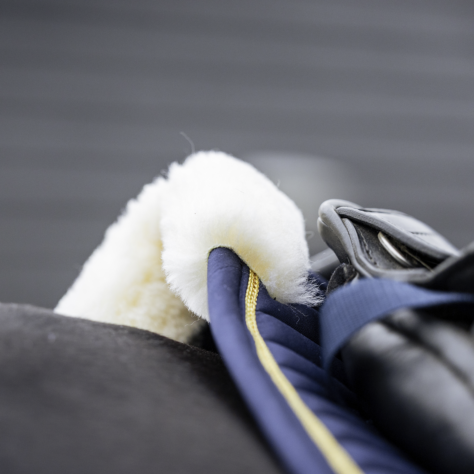 EQUEST Schabracke Syntec Fine Line + Cord + Widerristfell