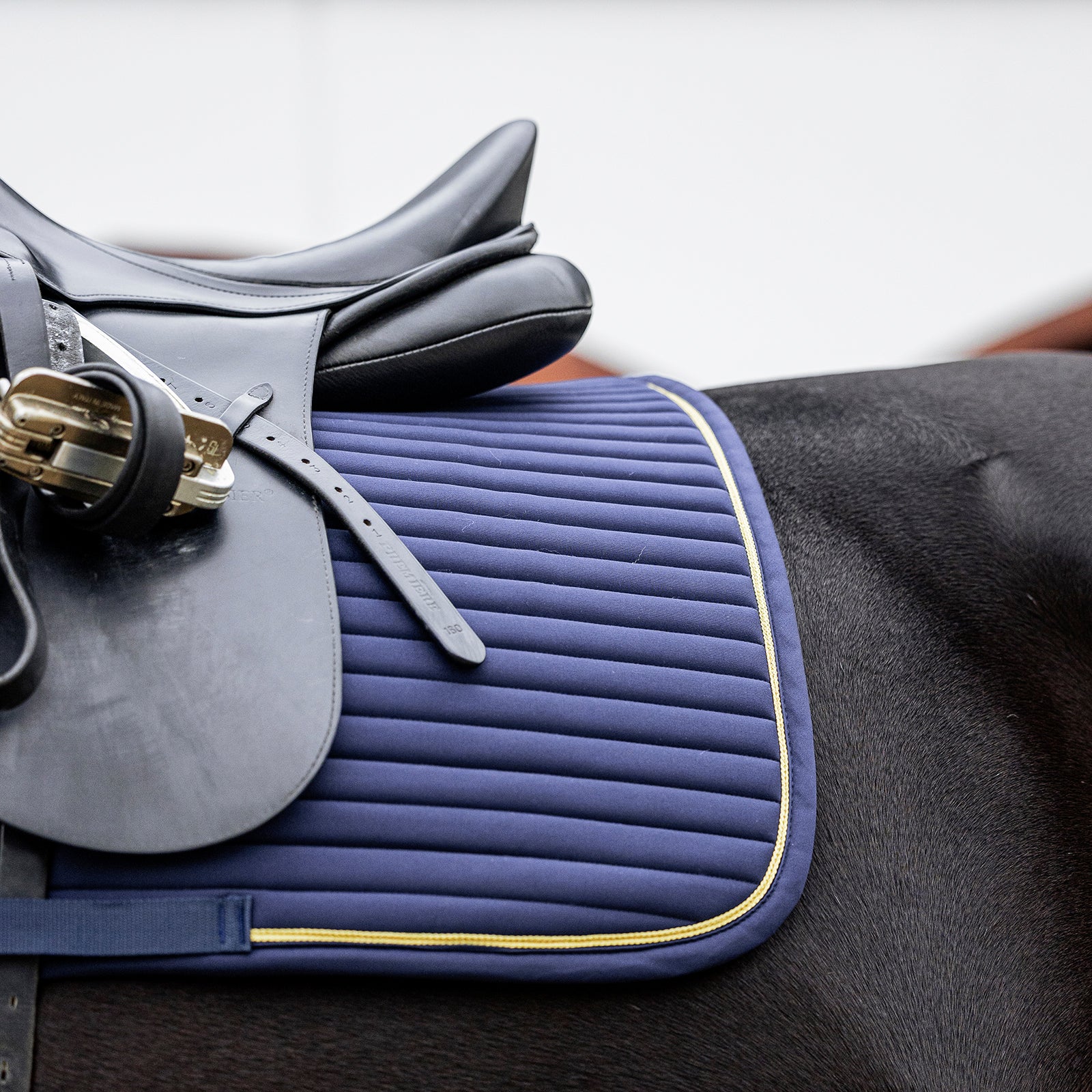 EQUEST Schabracke Syntec Fine Line + Cord + Widerristfell