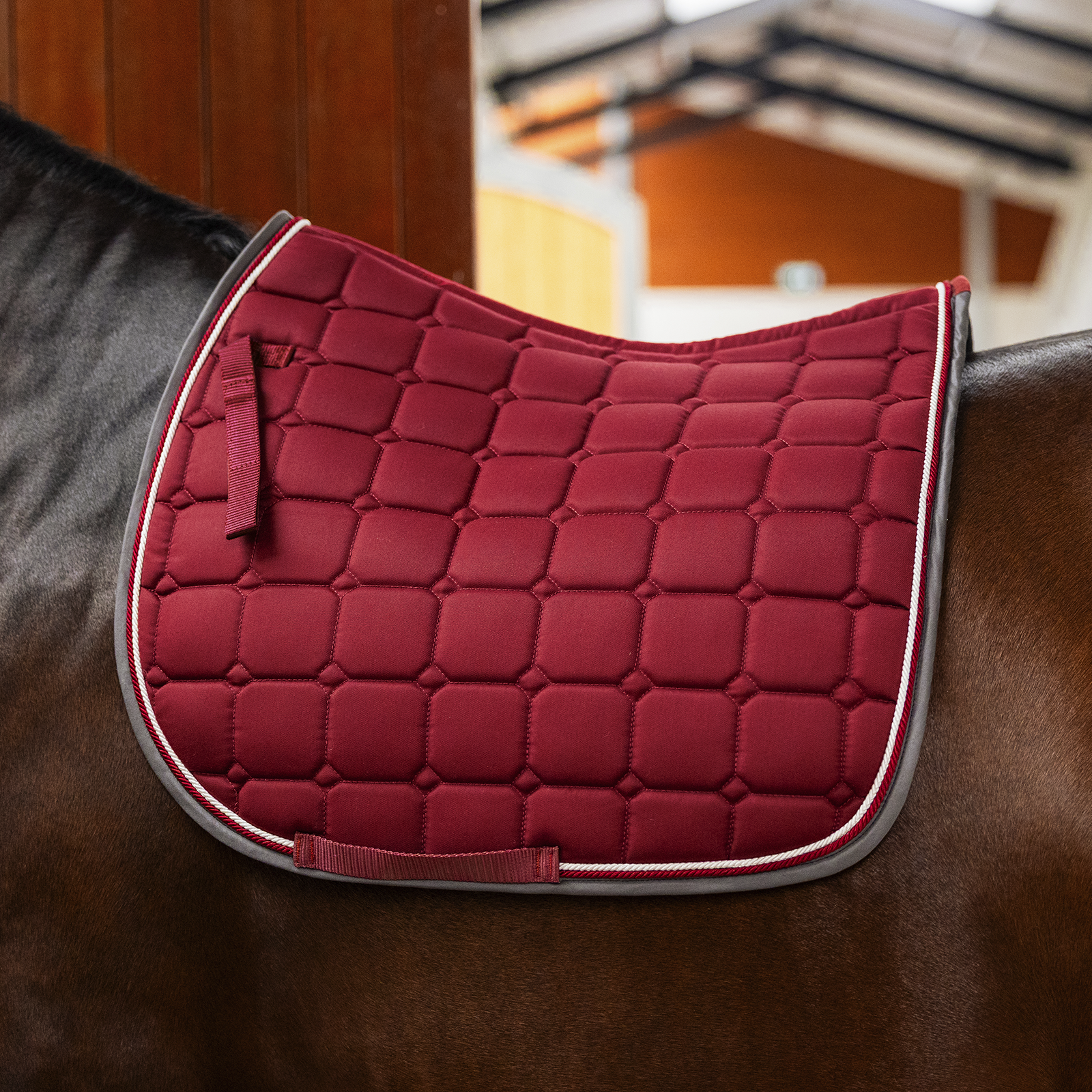 EQUEST Schabracke Syntec Cube + TwinCord