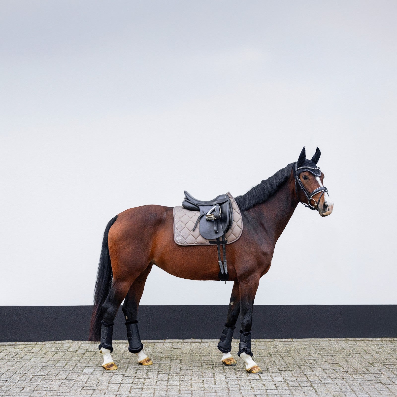 EQUEST Gamasche Premium | 2er Set