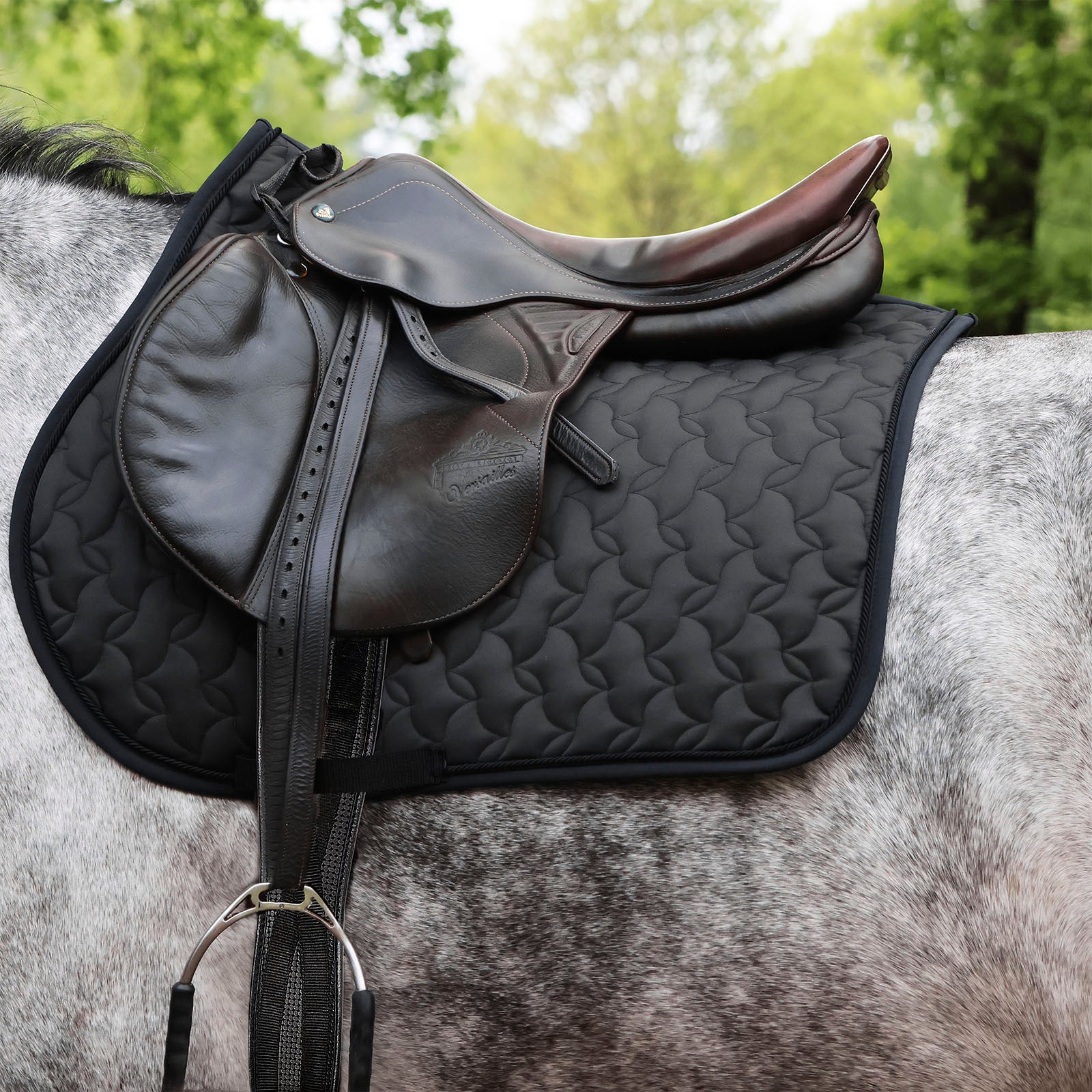 EQUEST Sattelgurt Gellastic lang - EQUEST by Hoelscher