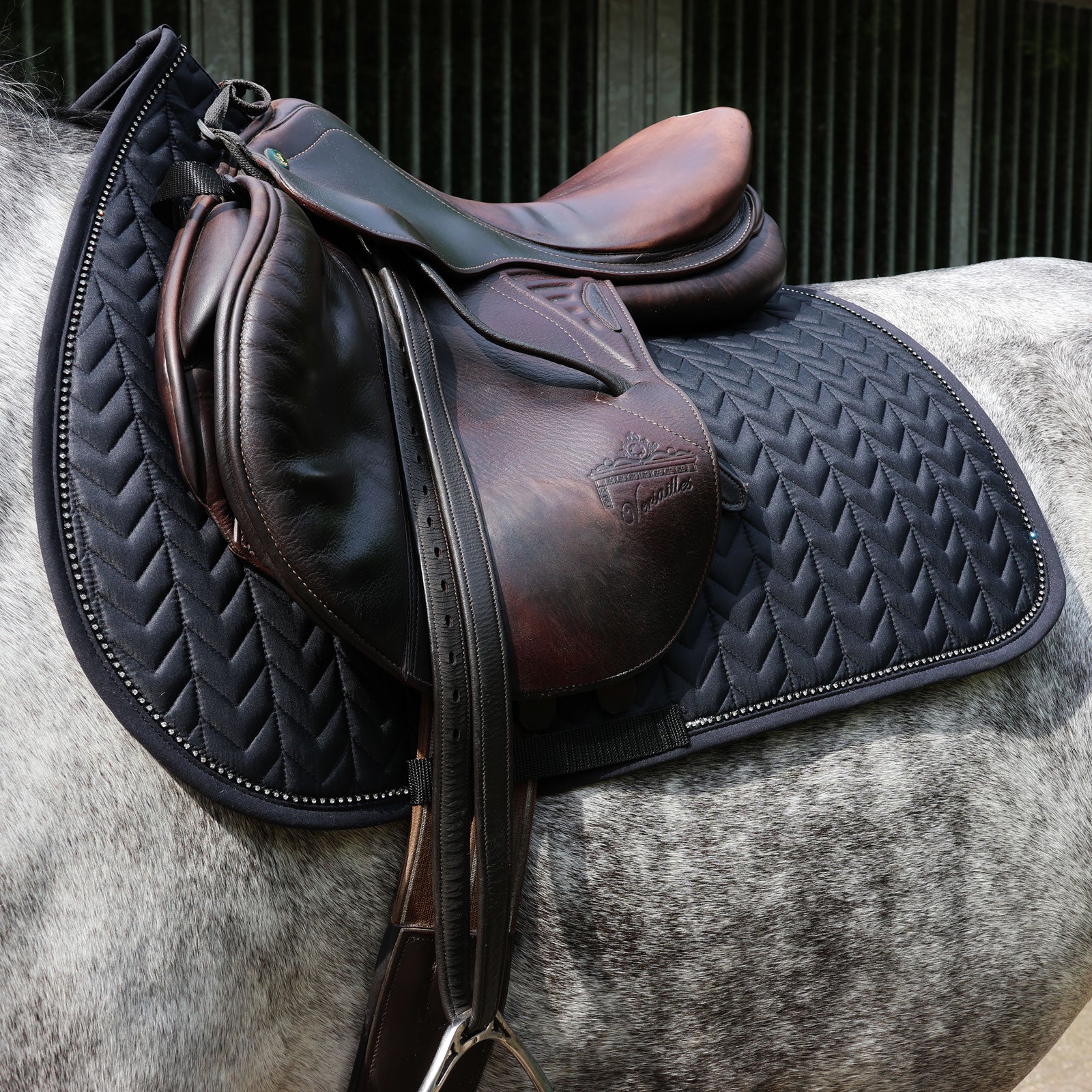 EQUEST Schabracke Macro Arrow mit Crystalbanding