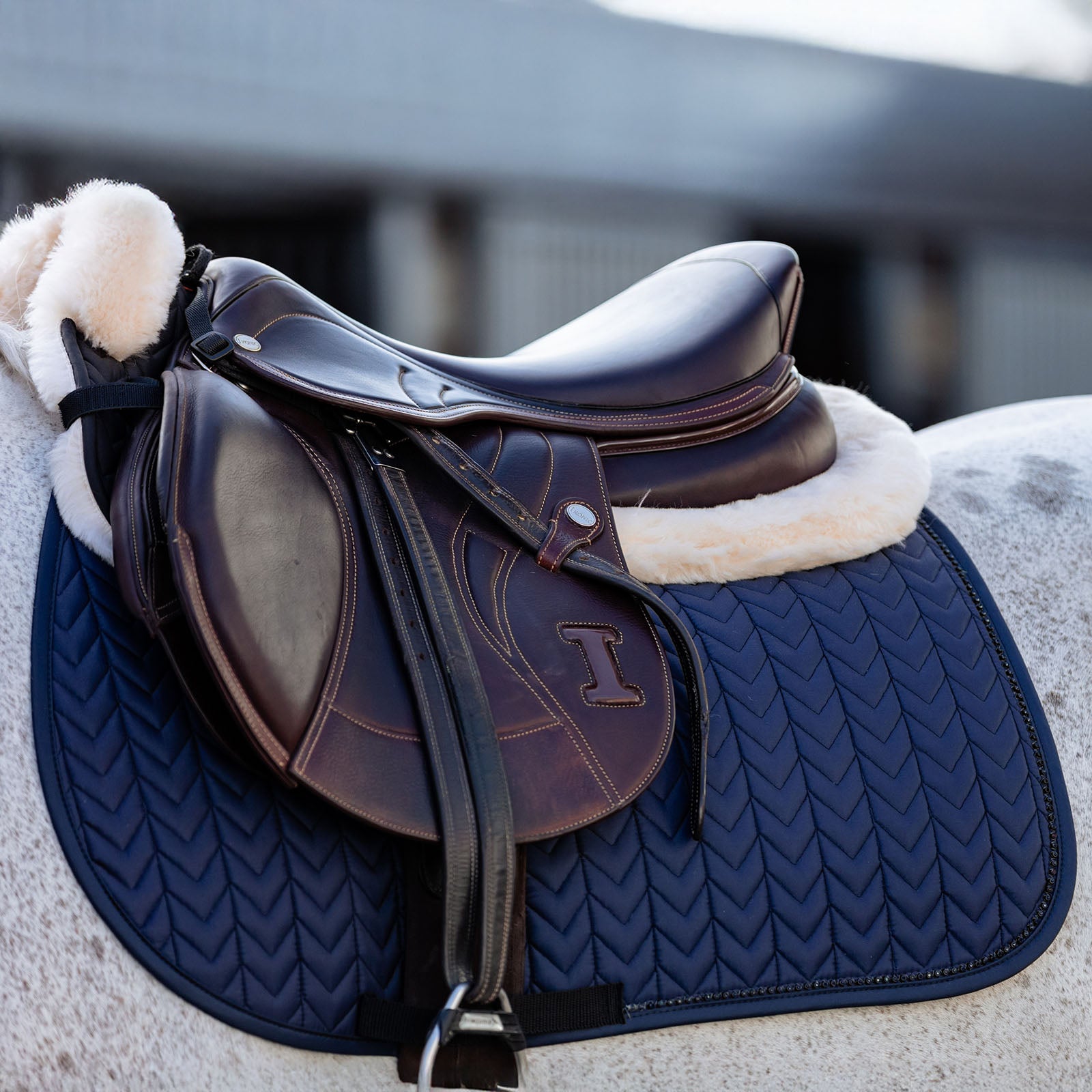 EQUEST Schabracke Macro Arrow mit Crystalbanding