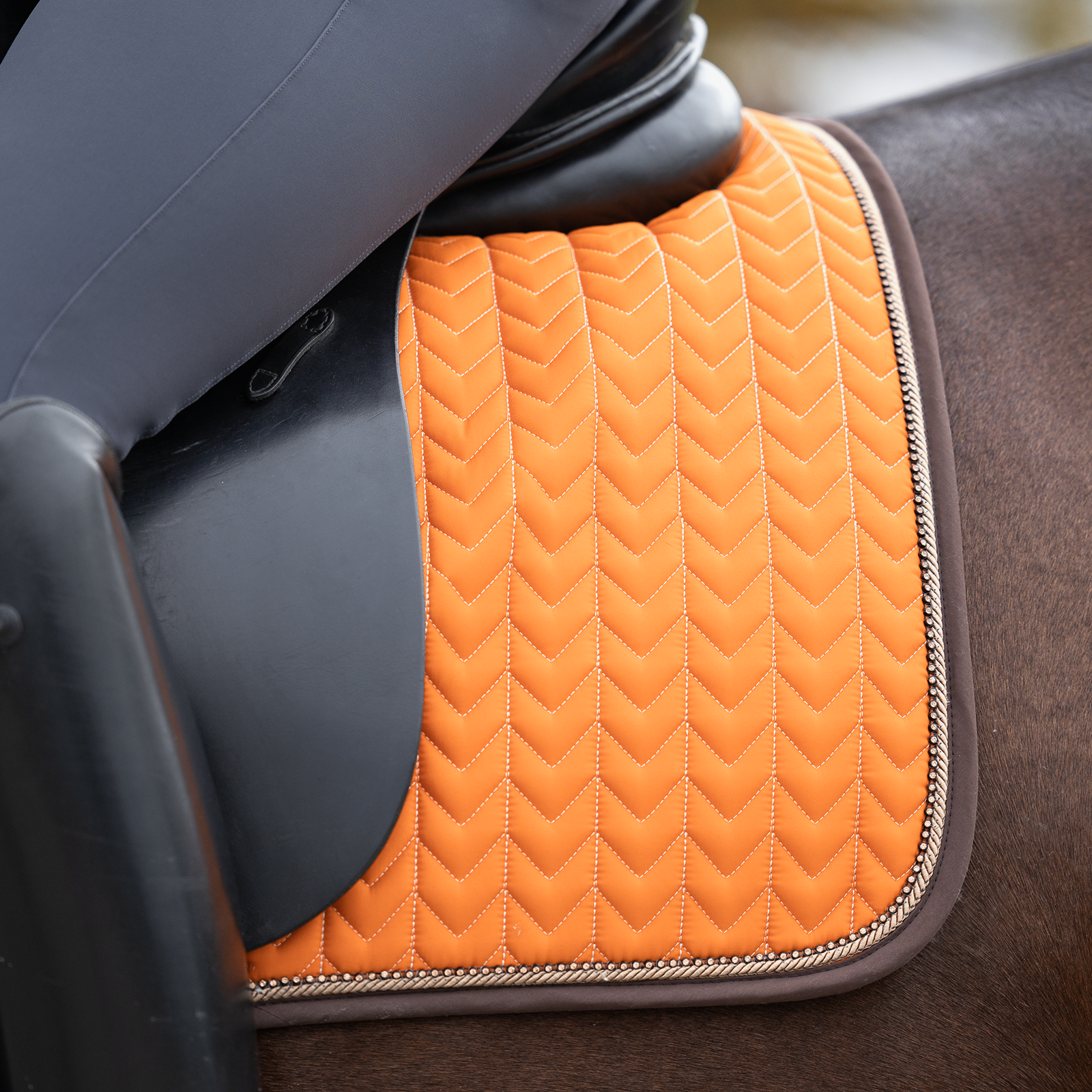 EQUEST Schabracke Macro Arrow + TwinCord