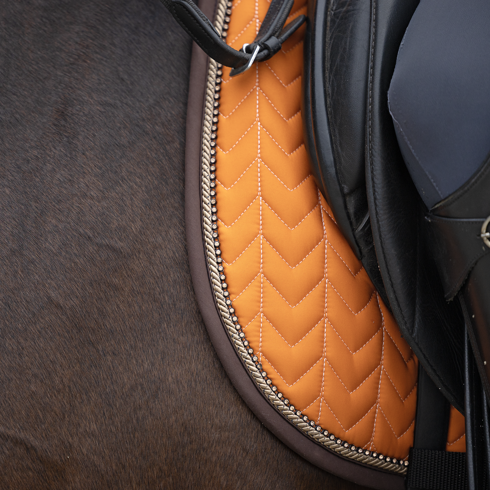 EQUEST Schabracke Macro Arrow + TwinCord