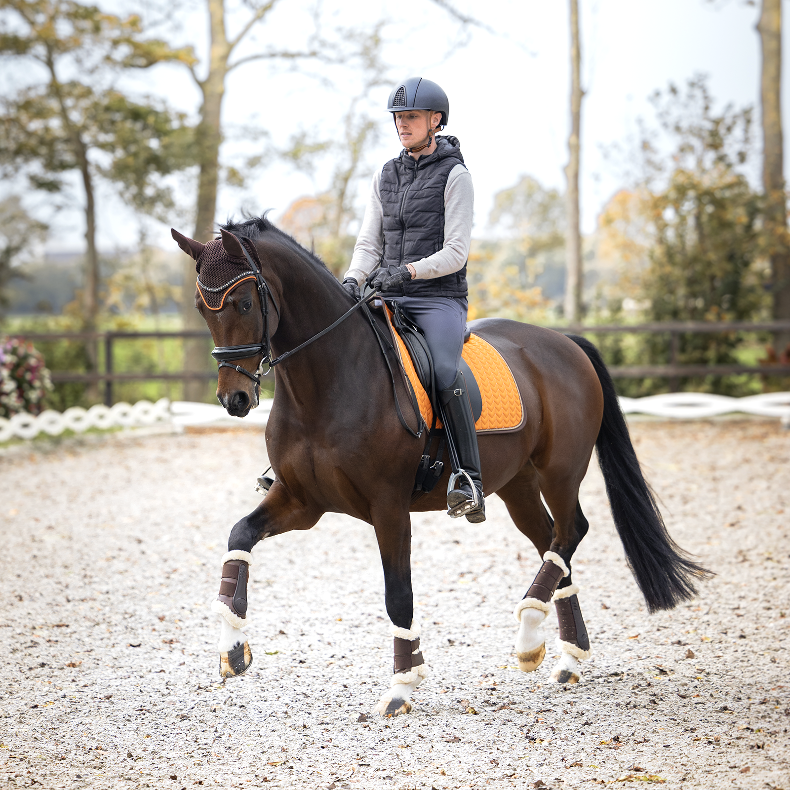 EQUEST Schabracke Macro Arrow + TwinCord