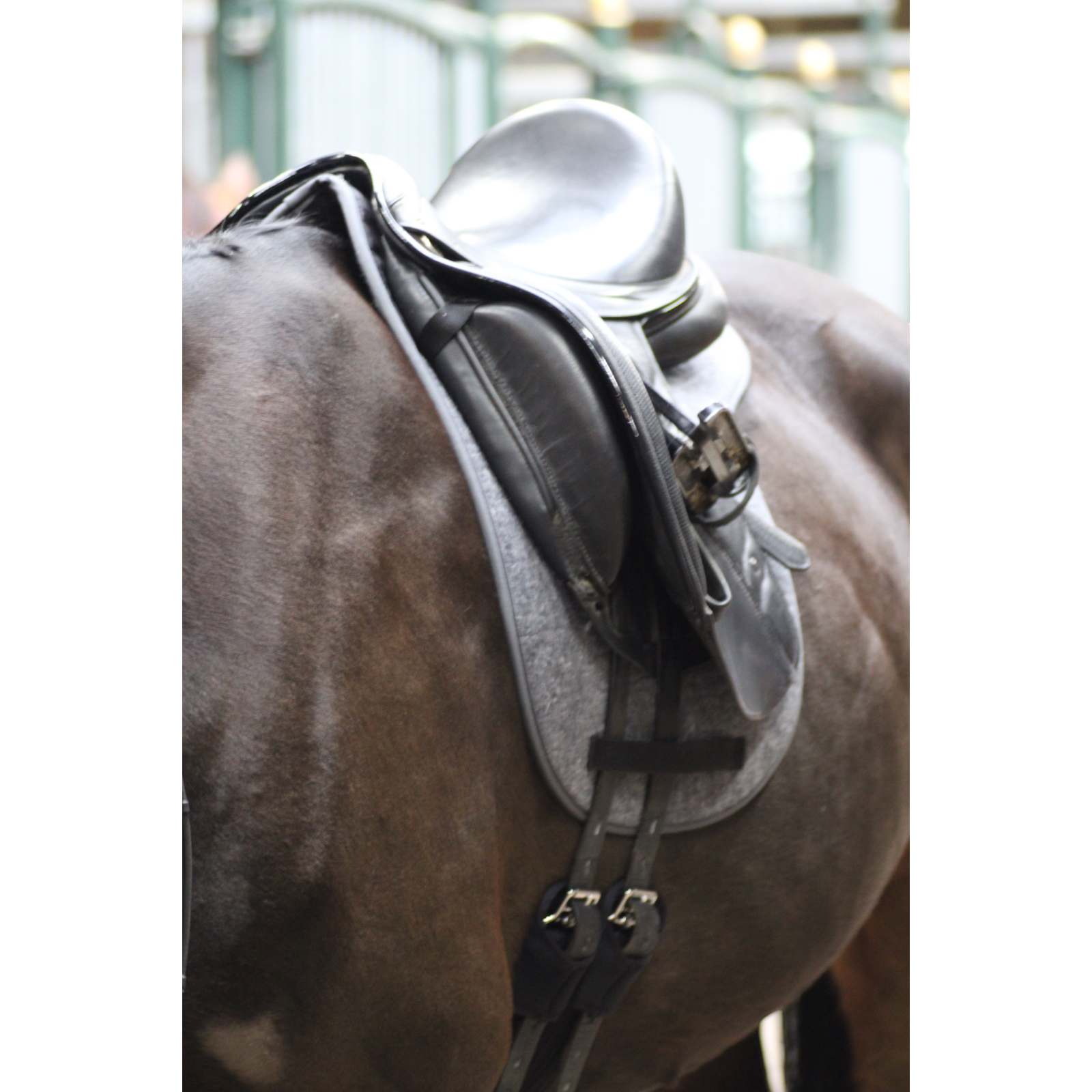 EQUEST Satteldecke Nature