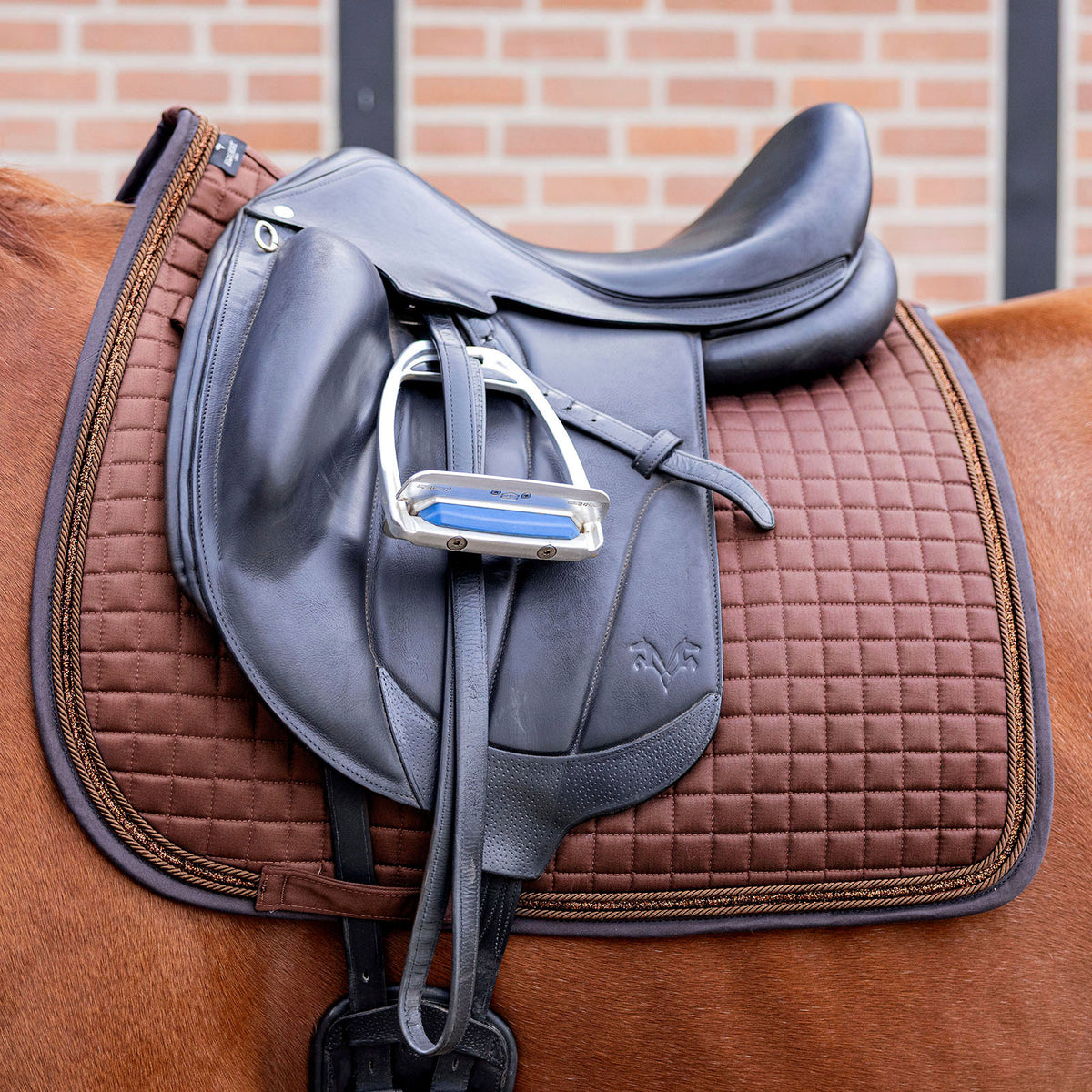 EQUEST Schabracke Essex + TriCord in Mocha mit Glitzerband unter einem Dressursattel auf einem Fuchs