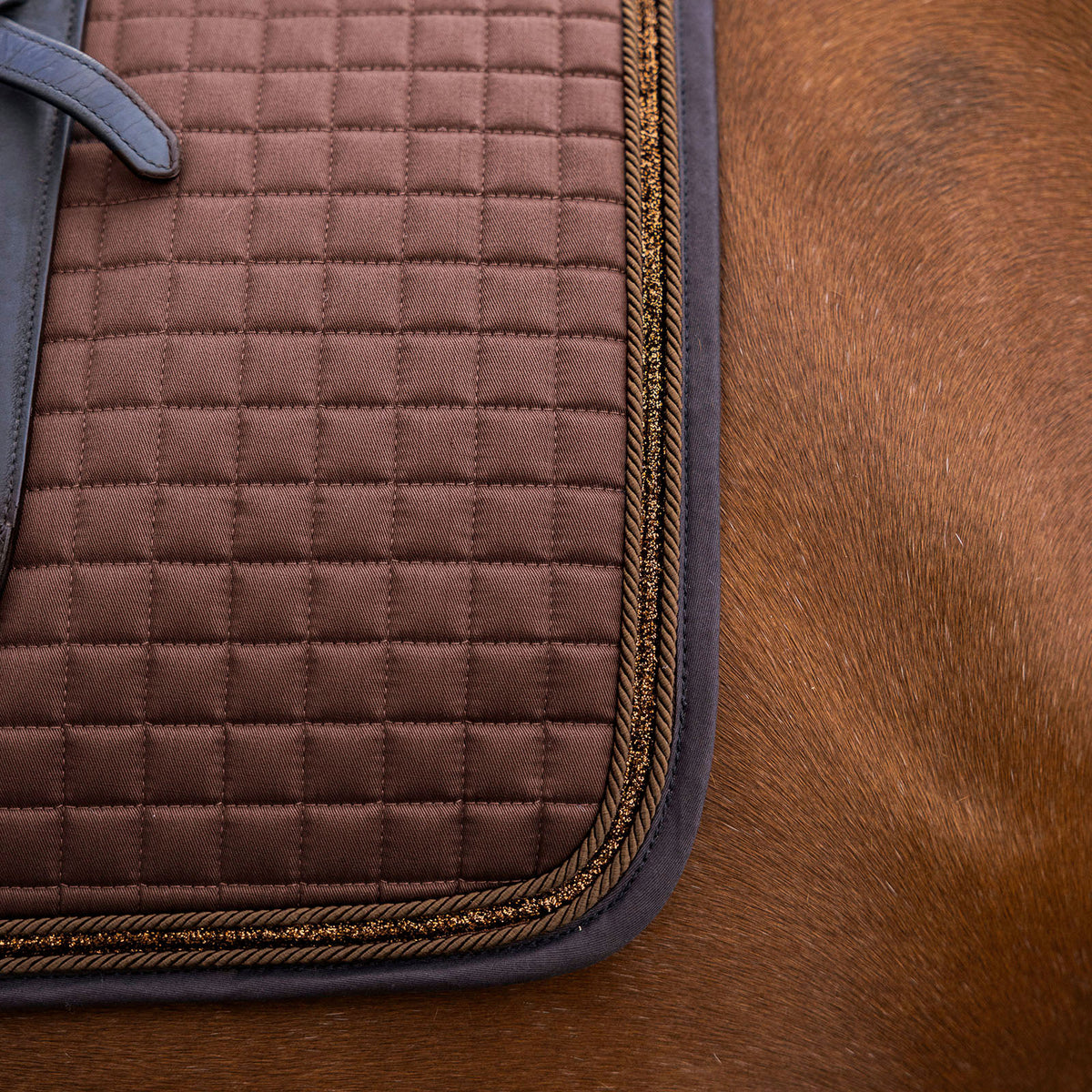 Detail der EQUEST Schabracke Essex + TriCord in Mocha mit Kordeln und Glitzerband am Rand, auf einem Fuchs