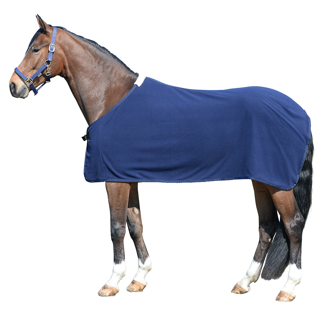 EQUEST Abschwitzdecke Alpha Fleece Regular in Navy mit Einfassung Ton in Ton am Pferd