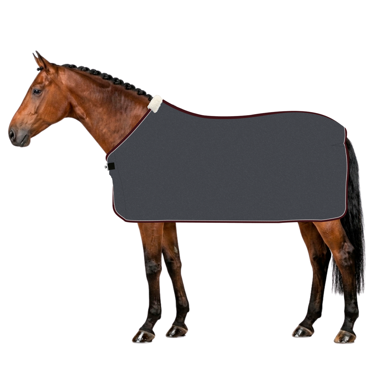 EQUEST Decke Alpha Fleece Regular + Cord | Einzelstücke