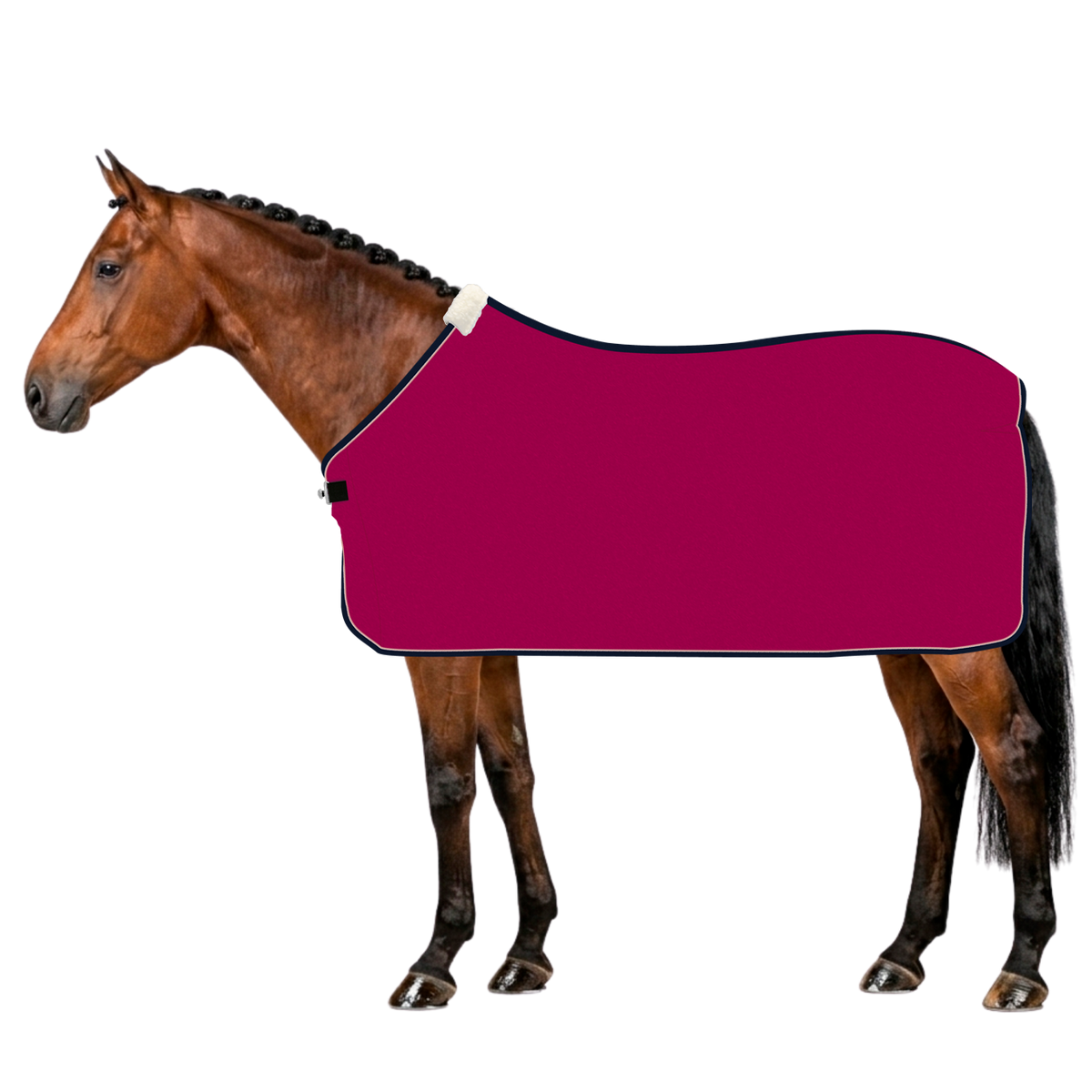 EQUEST Decke Alpha Fleece Regular + Cord | Einzelstücke