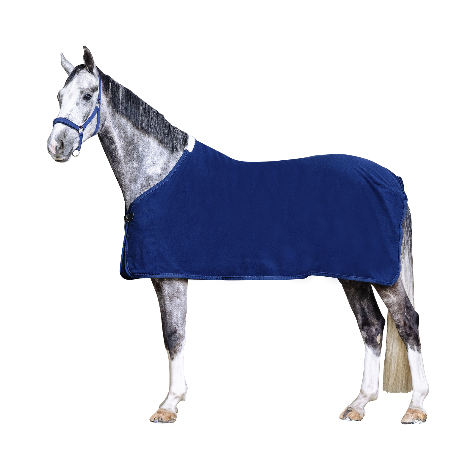 EQUEST Alpha Fleece Blanket Regular + Cord