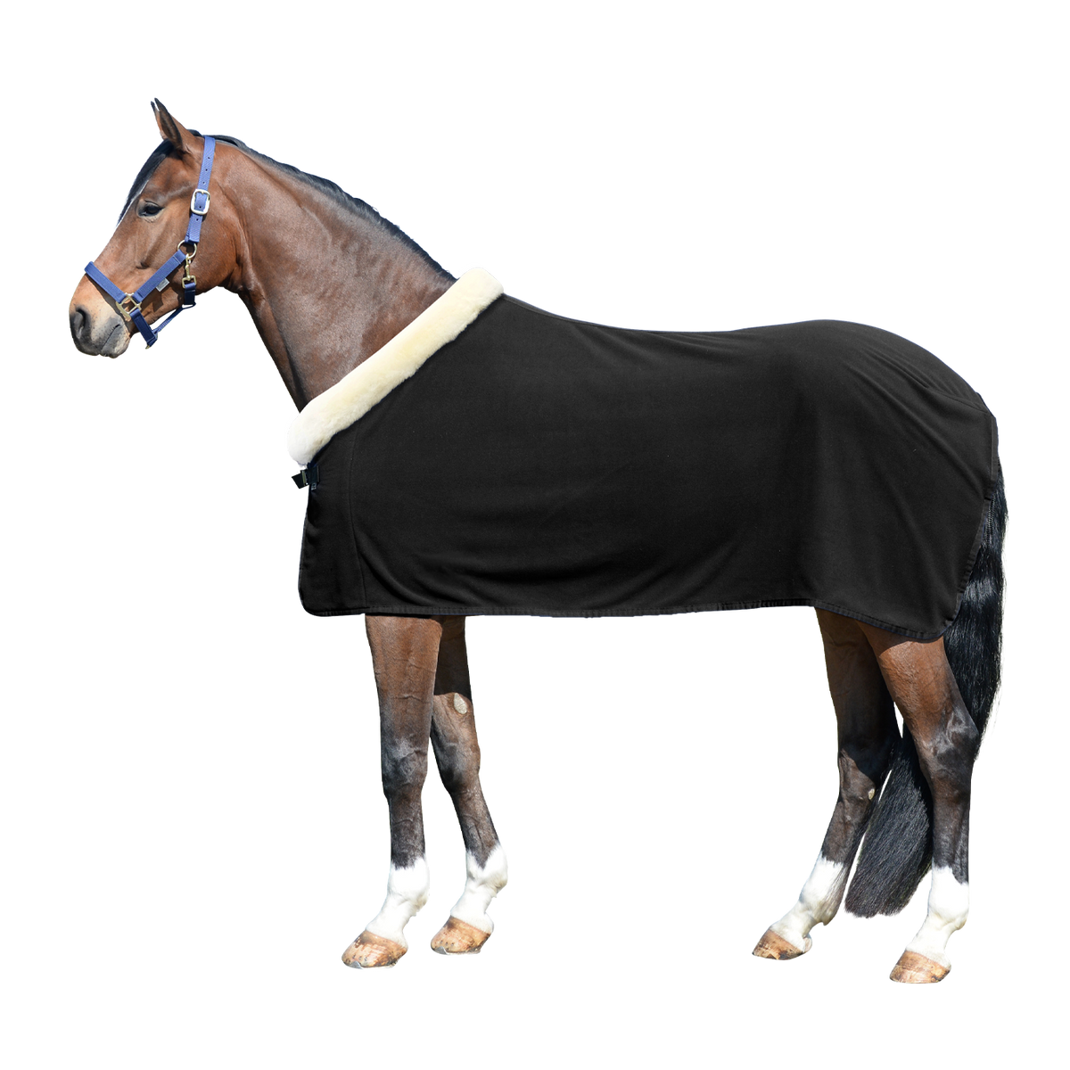 EQUEST Decke Alpha Fleece Regular mit EQ Illusion Fellkragen in Black mit Einfassung Black
