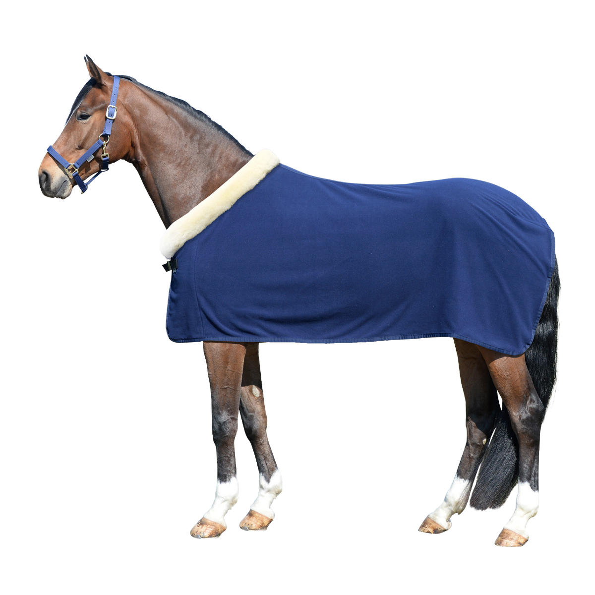 EQUEST Decke Alpha Fleece Regular mit EQ Illusion Fellkragen in Navy mit Einfassung Navy