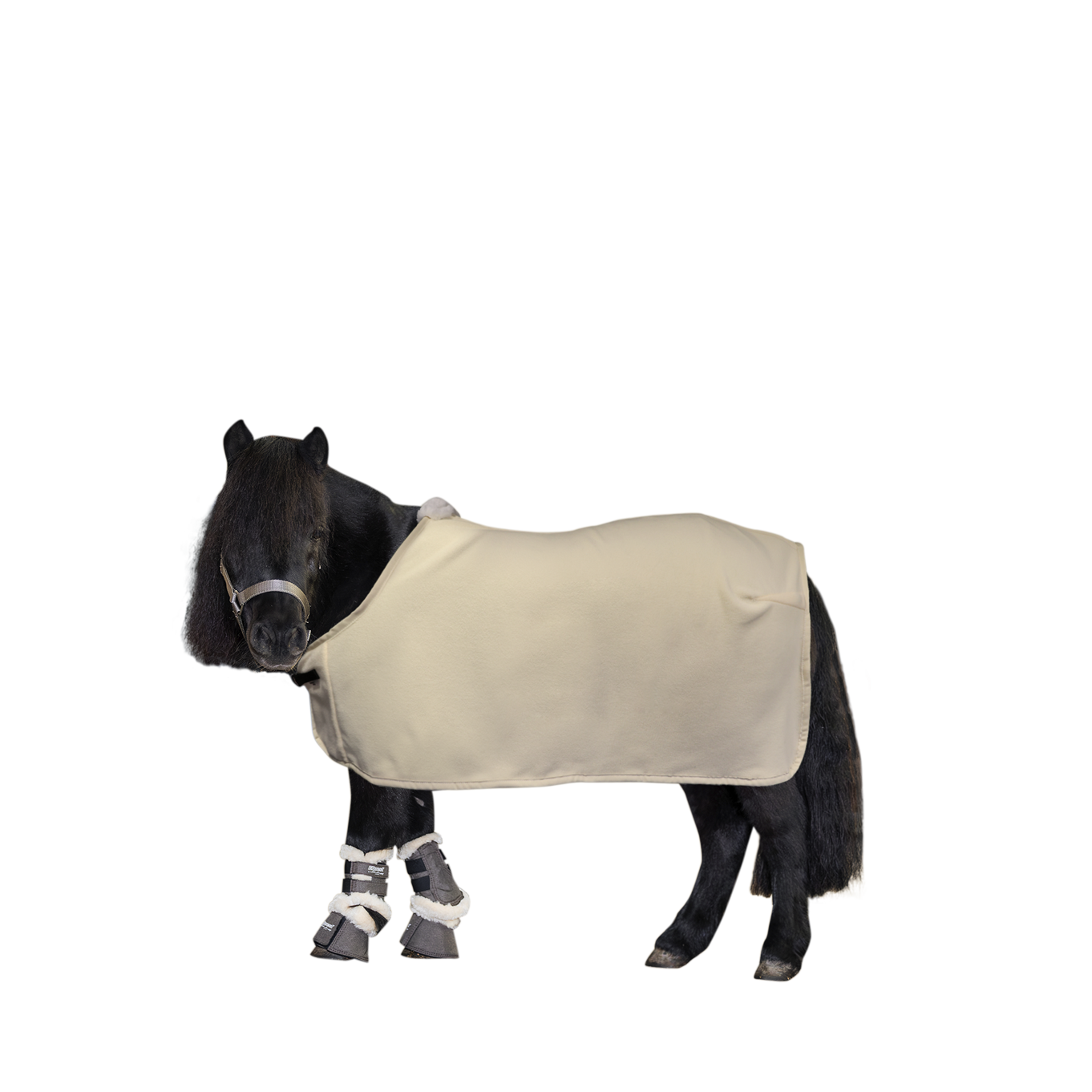 EQUEST Alpha Fleece Blanket | Shetland & Mini Shetland