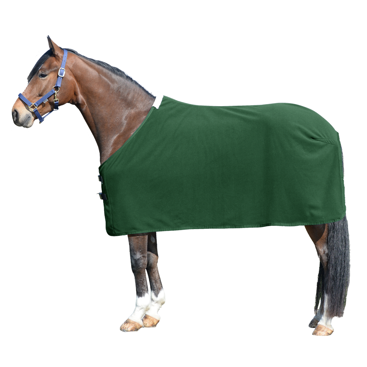 EQUEST Decke Alpha Fleece Parade + Cord in Bottle Green mit Kordel Champagner und Einfassung Bottle Green
