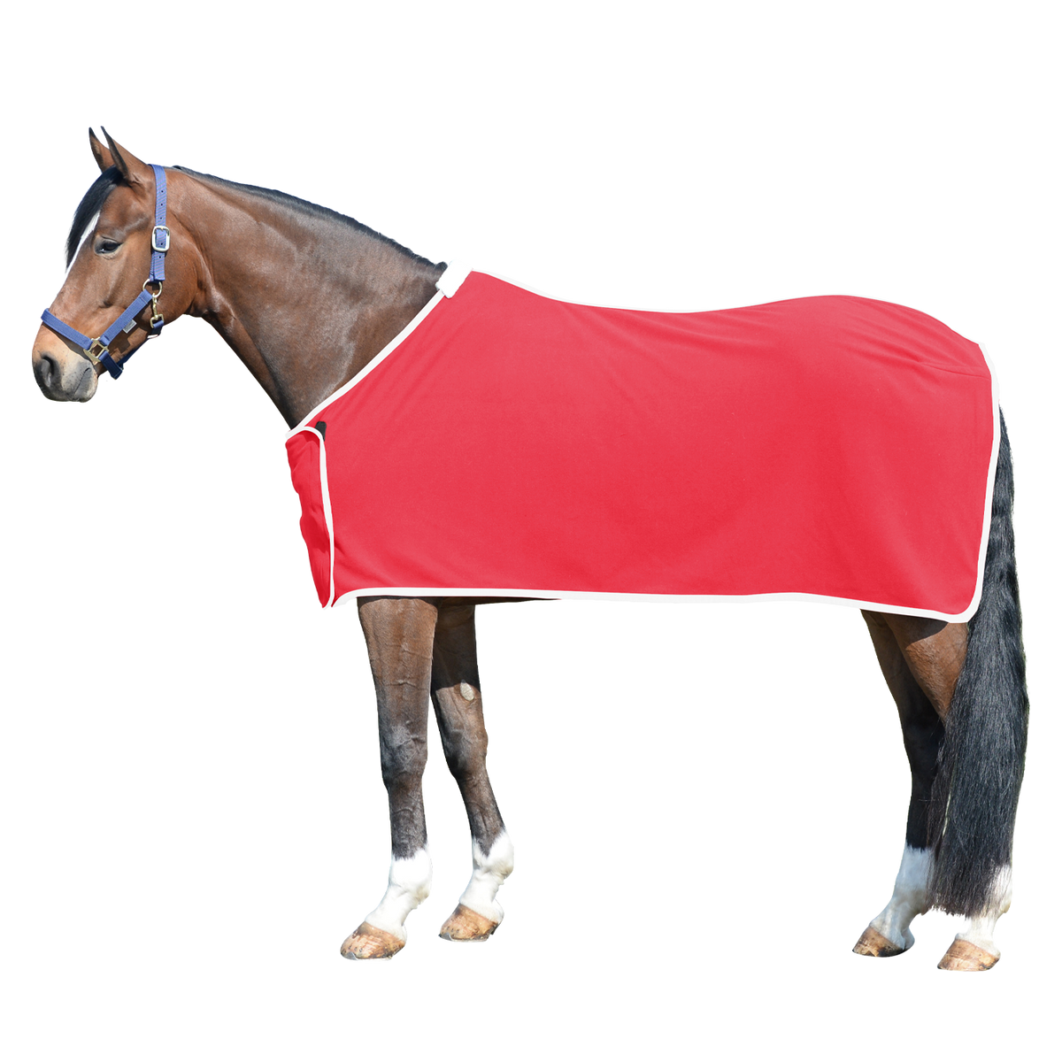 EQUEST Decke Alpha Fleece Regular Challenge | Einzelstücke