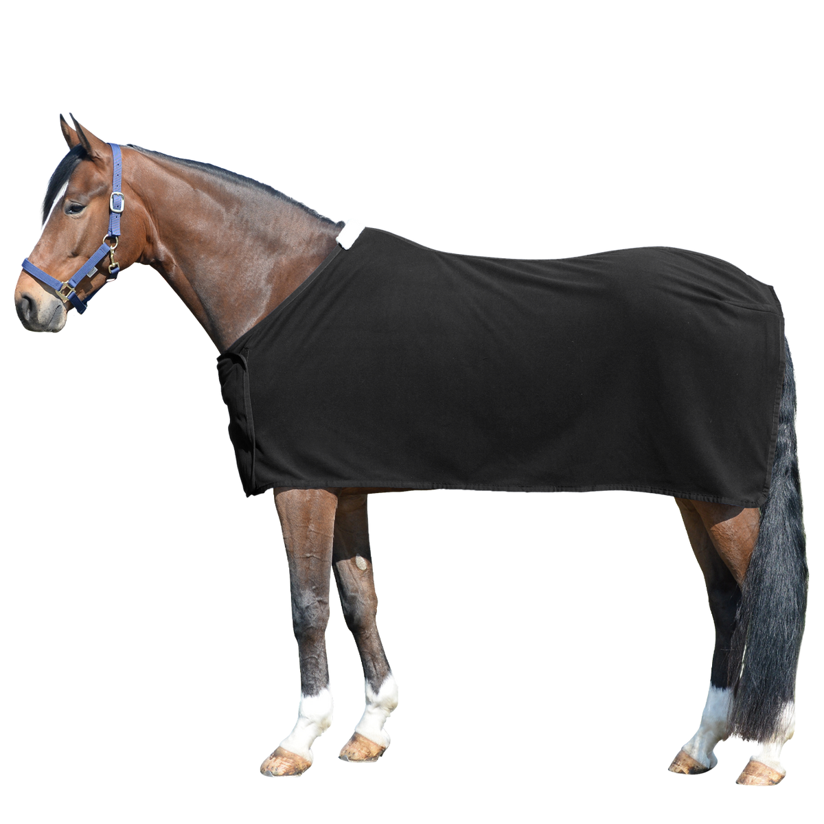 EQUEST Decke Alpha Fleece Regular Challenge | Einzelstücke