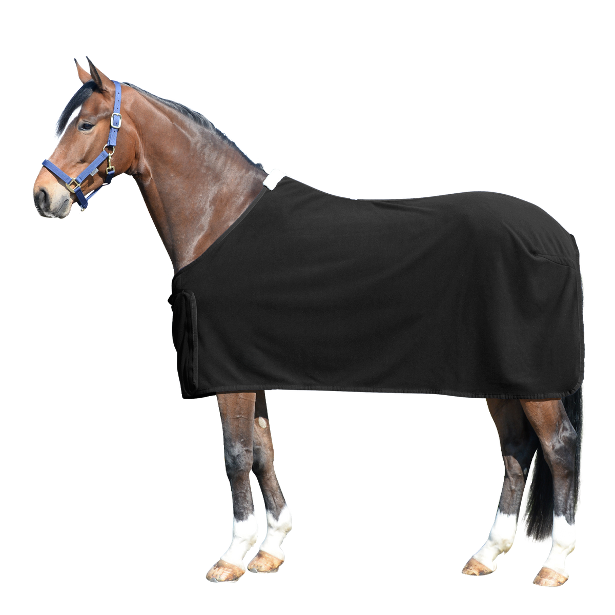 EQUEST Decke Alpha Fleece Regular Challenge + TriCord | Black – Thin Gold Lurex – Strass Black – Sand – Black