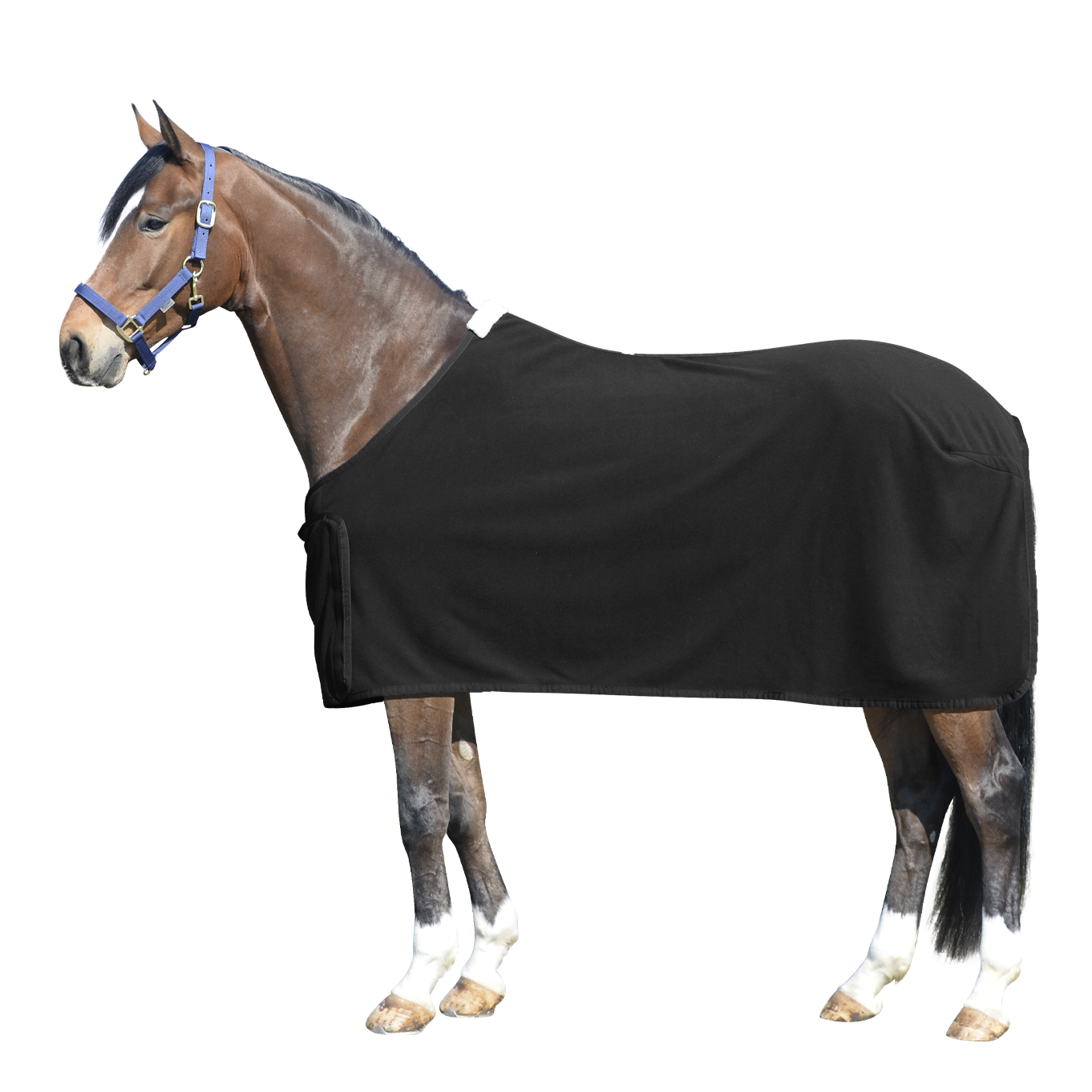 EQUEST Couverture polaire Alpha Regular Challenge + TriCord | Black – Thin Gold Lurex – Strass Black – Sand – Black