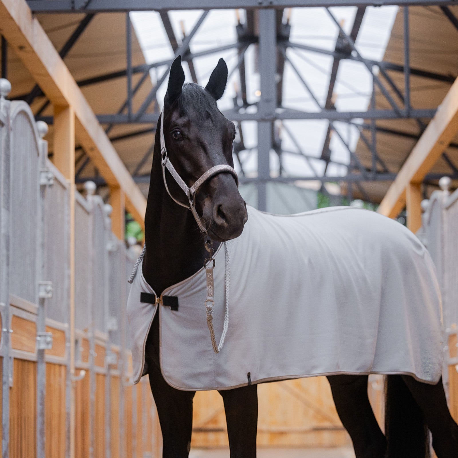 EQUEST Decke Alpha Fleece Regular | Delight