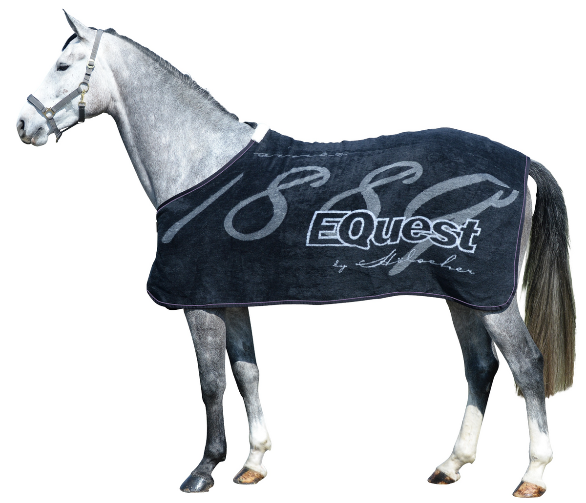 Pferd mit EQUEST Dralon Decke Promotion + Cord in Black mit EQUEST Logo, Kordel Lilac