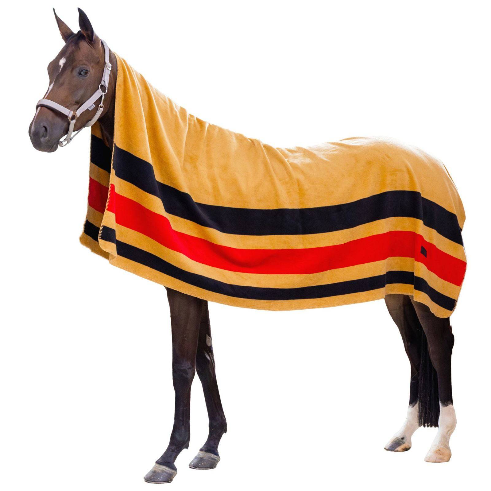 EQUEST Dralon Decke Pureline - EQUEST by Hoelscher