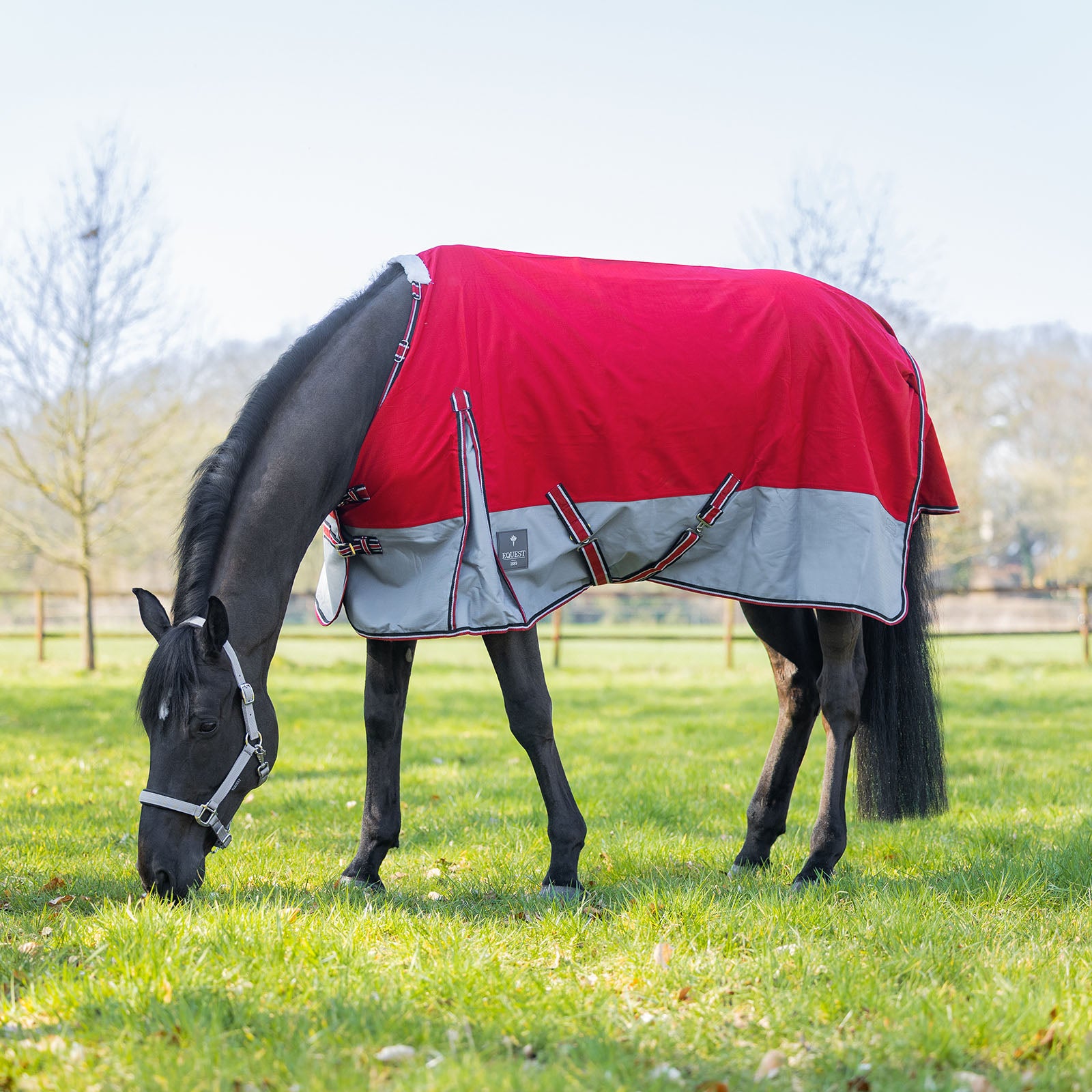 EQUEST Outdoordecke Rainmaster 0g auf der Weide – leichte Regendecke 1200 Denier