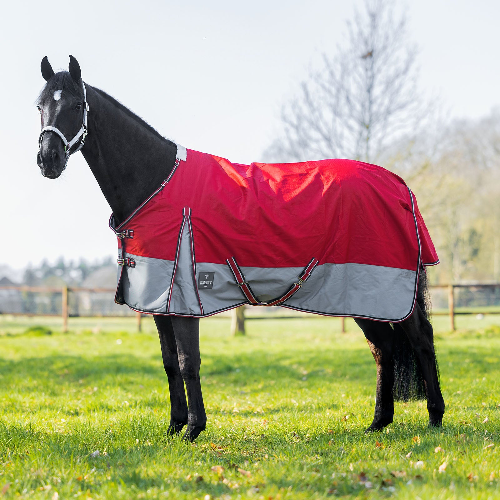 EQUEST Outdoordecke Rainmaster 0g – ungefütterte Weidedecke mit Frontverschluss