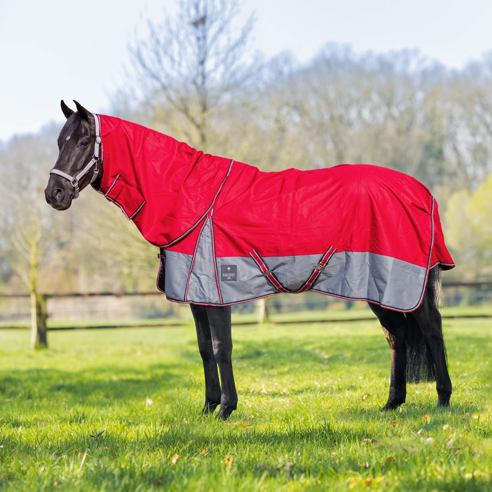 EQUEST Rainmaster 0g beim Grasen – Outdoordecke mit Halsteil und Kreuzgurten